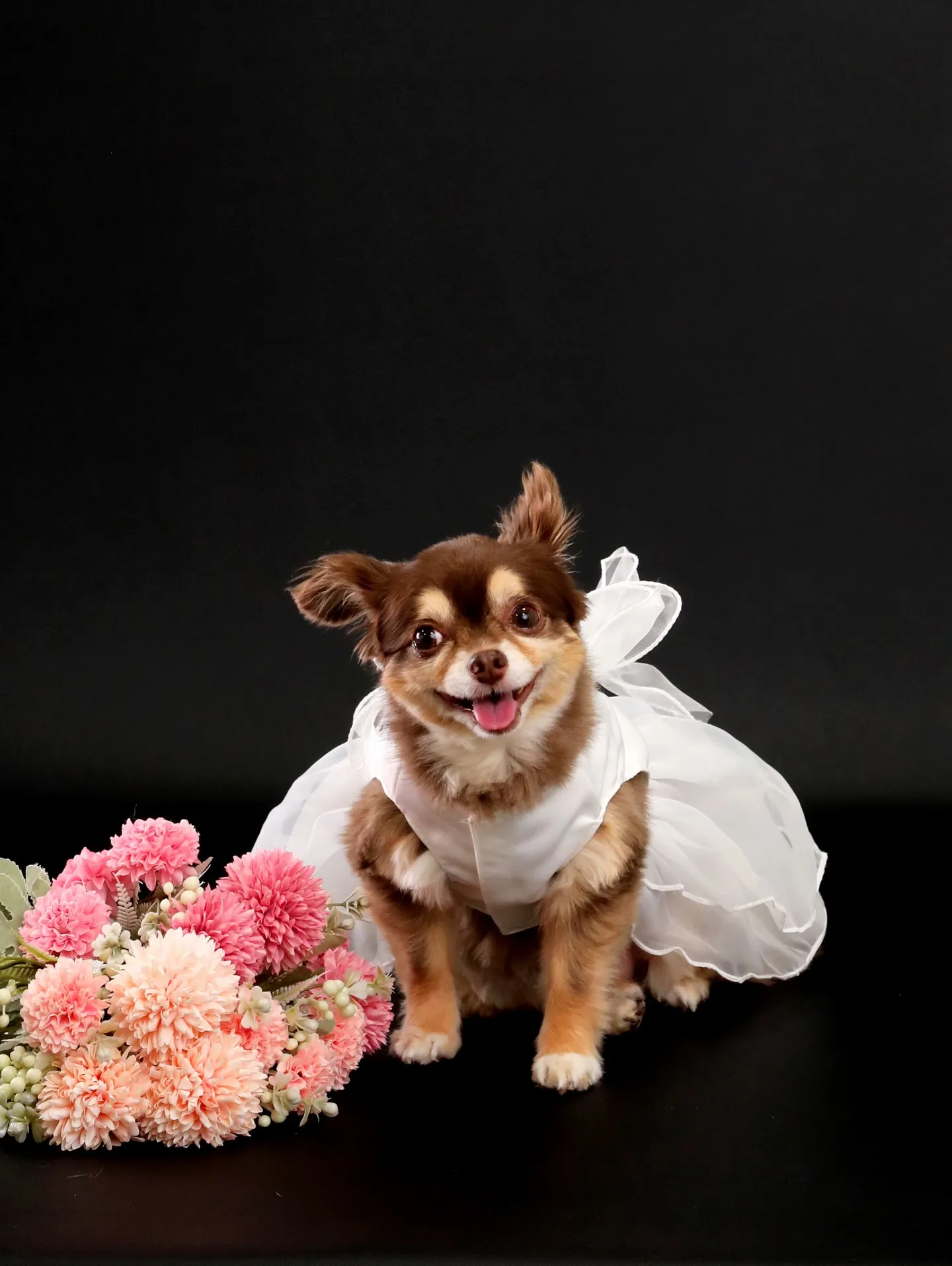 【BLACK Backdrop Photoshoot -FA...