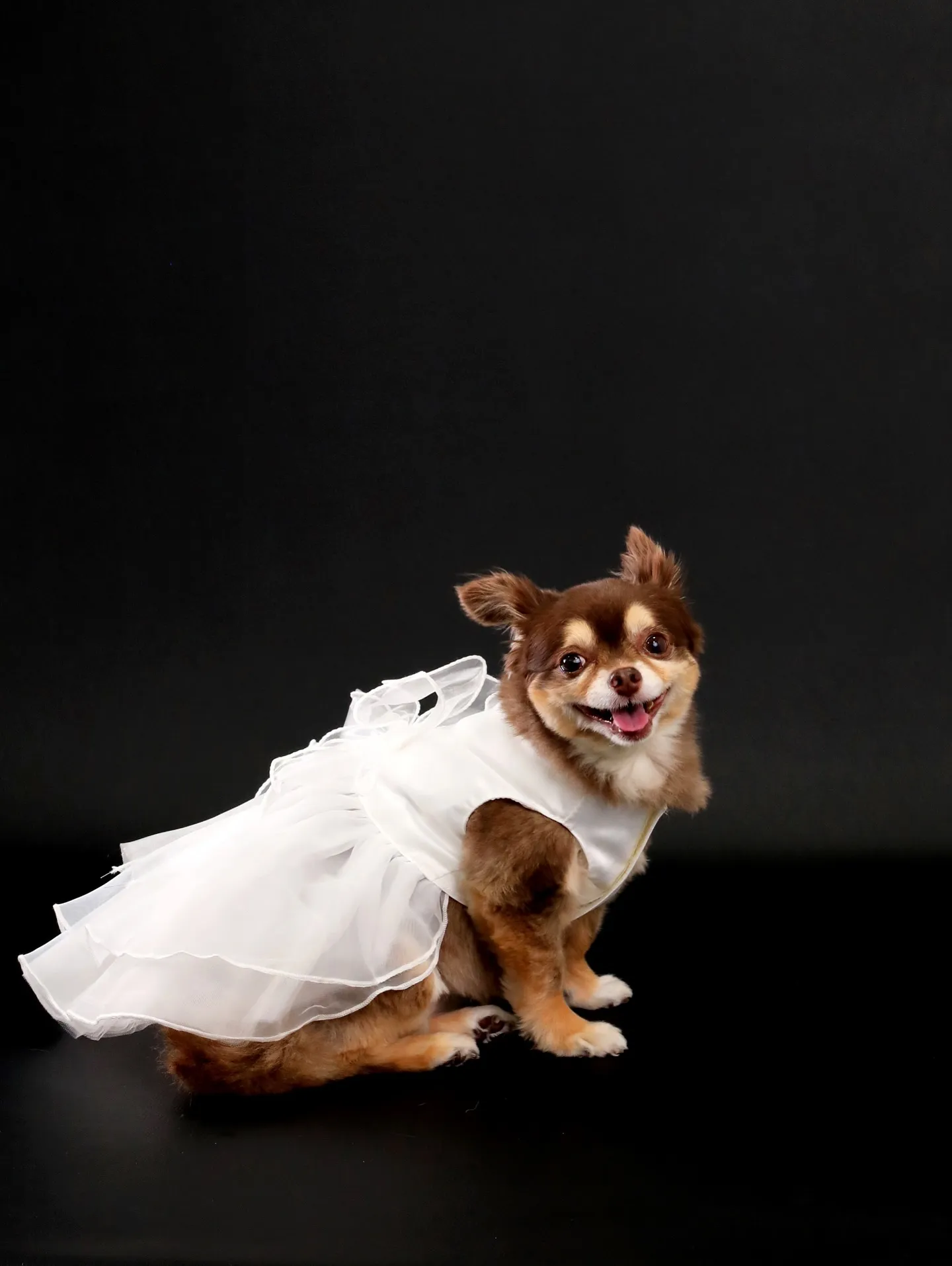 【BLACK Backdrop Photoshoot -FA...