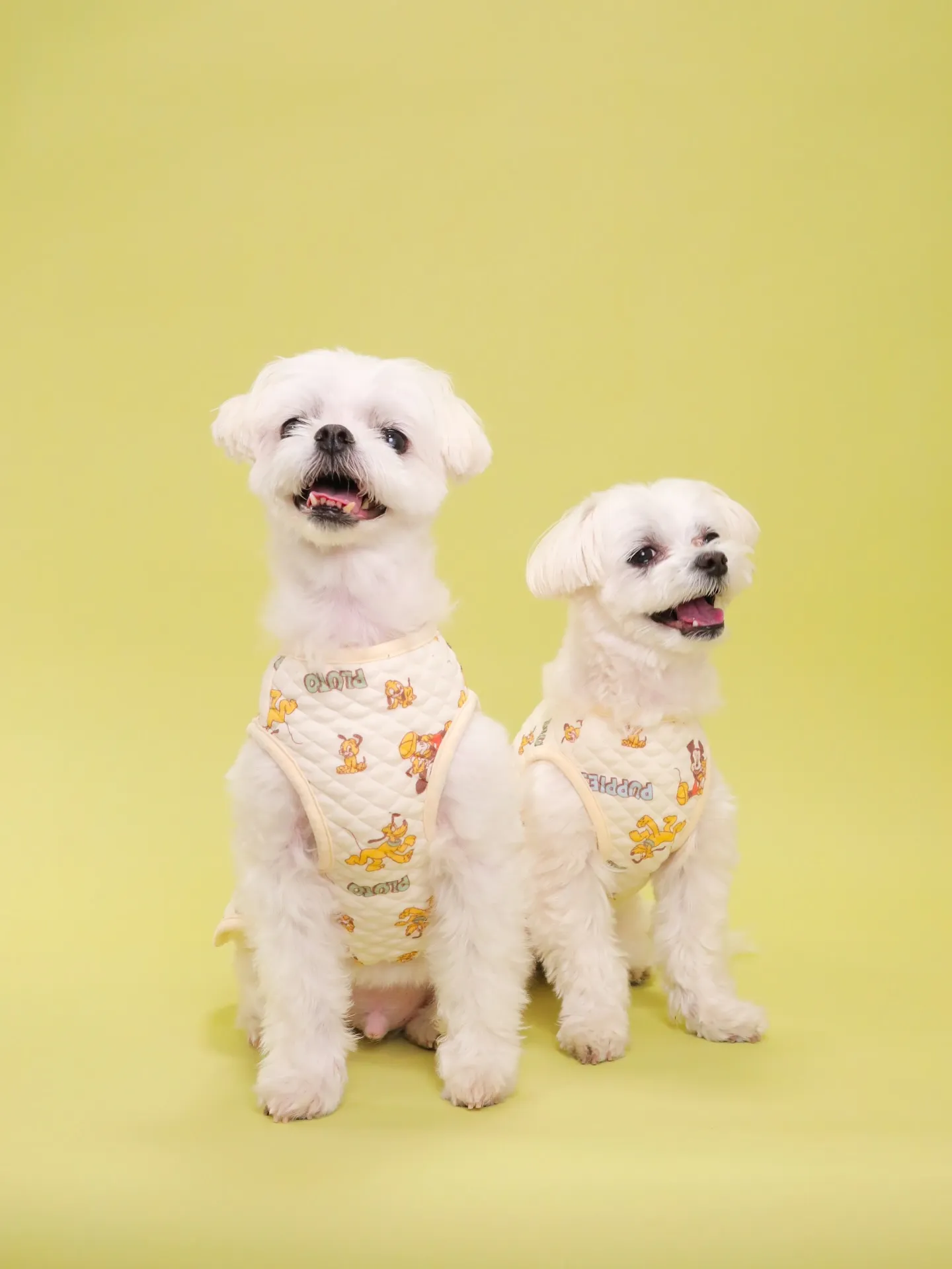 【Light-GREEN🍏Photoshoot】