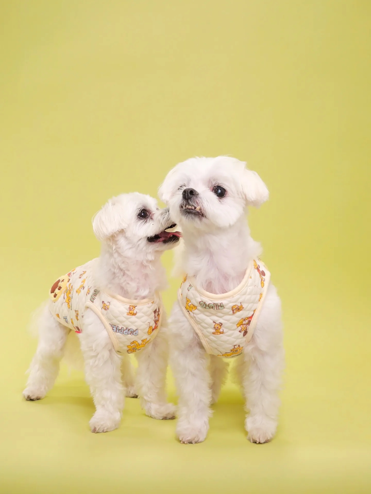 【Light-GREEN🍏Photoshoot】