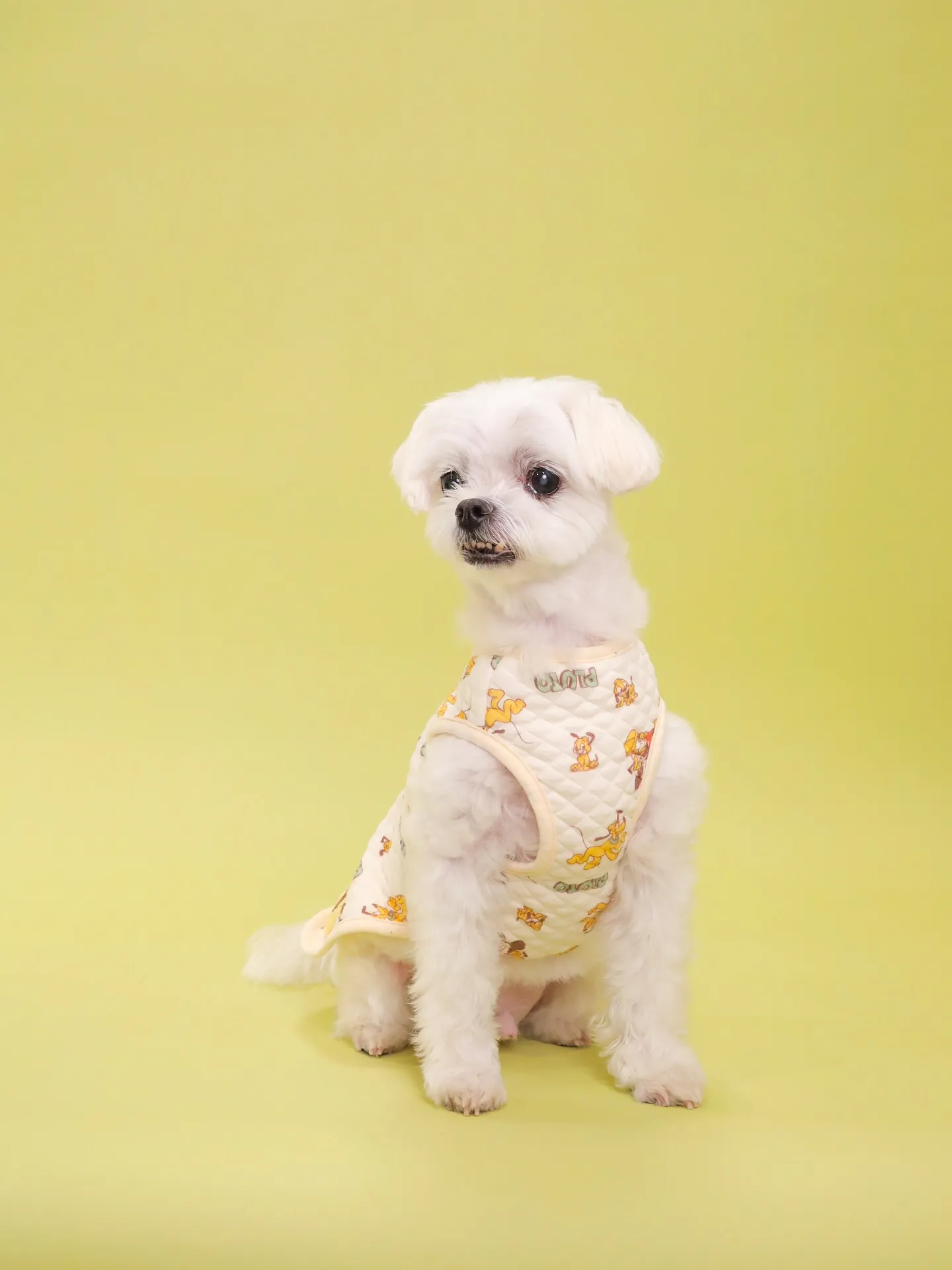 【Light-GREEN🍏Photoshoot】