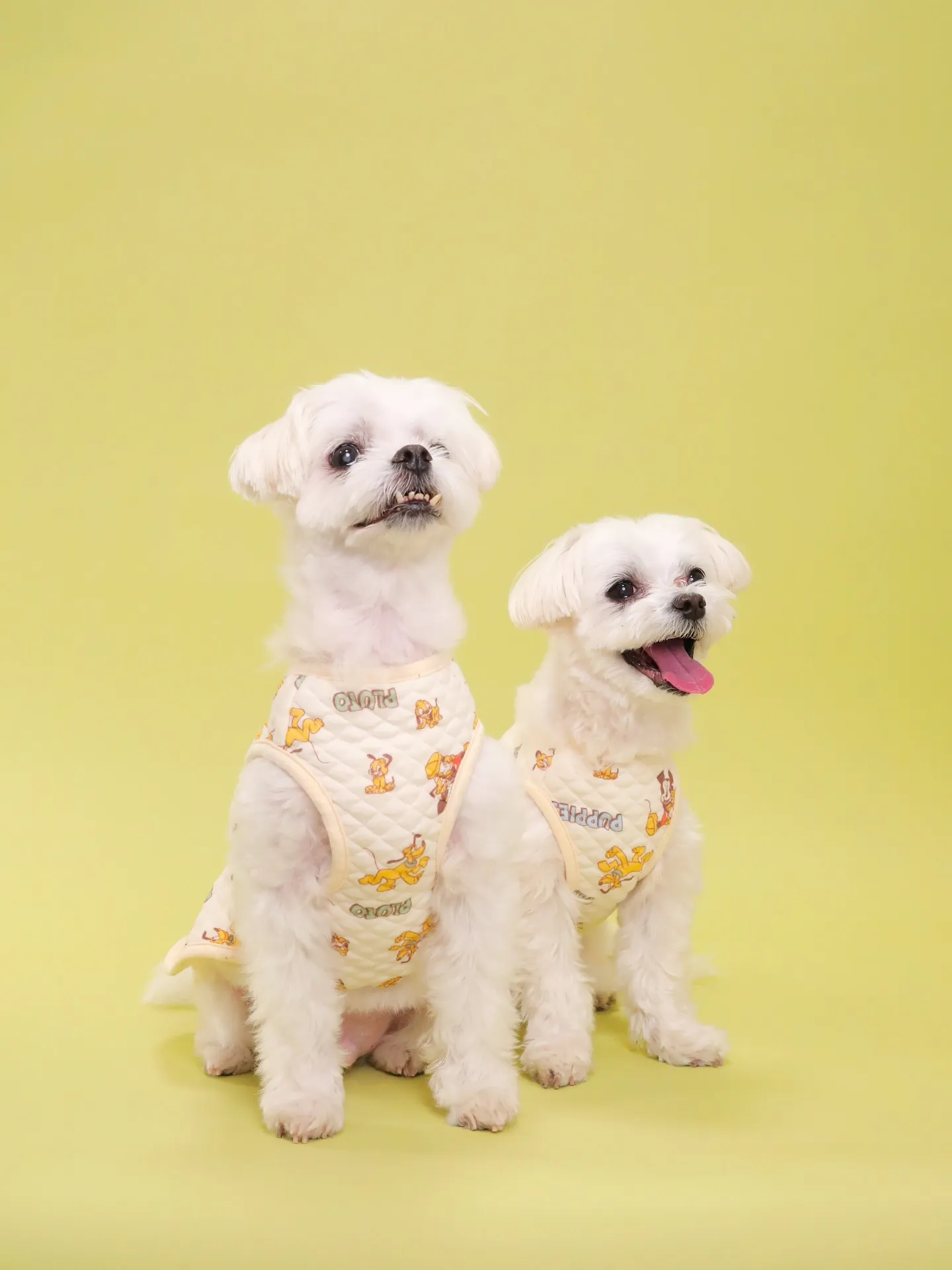 【Light-GREEN🍏Photoshoot】