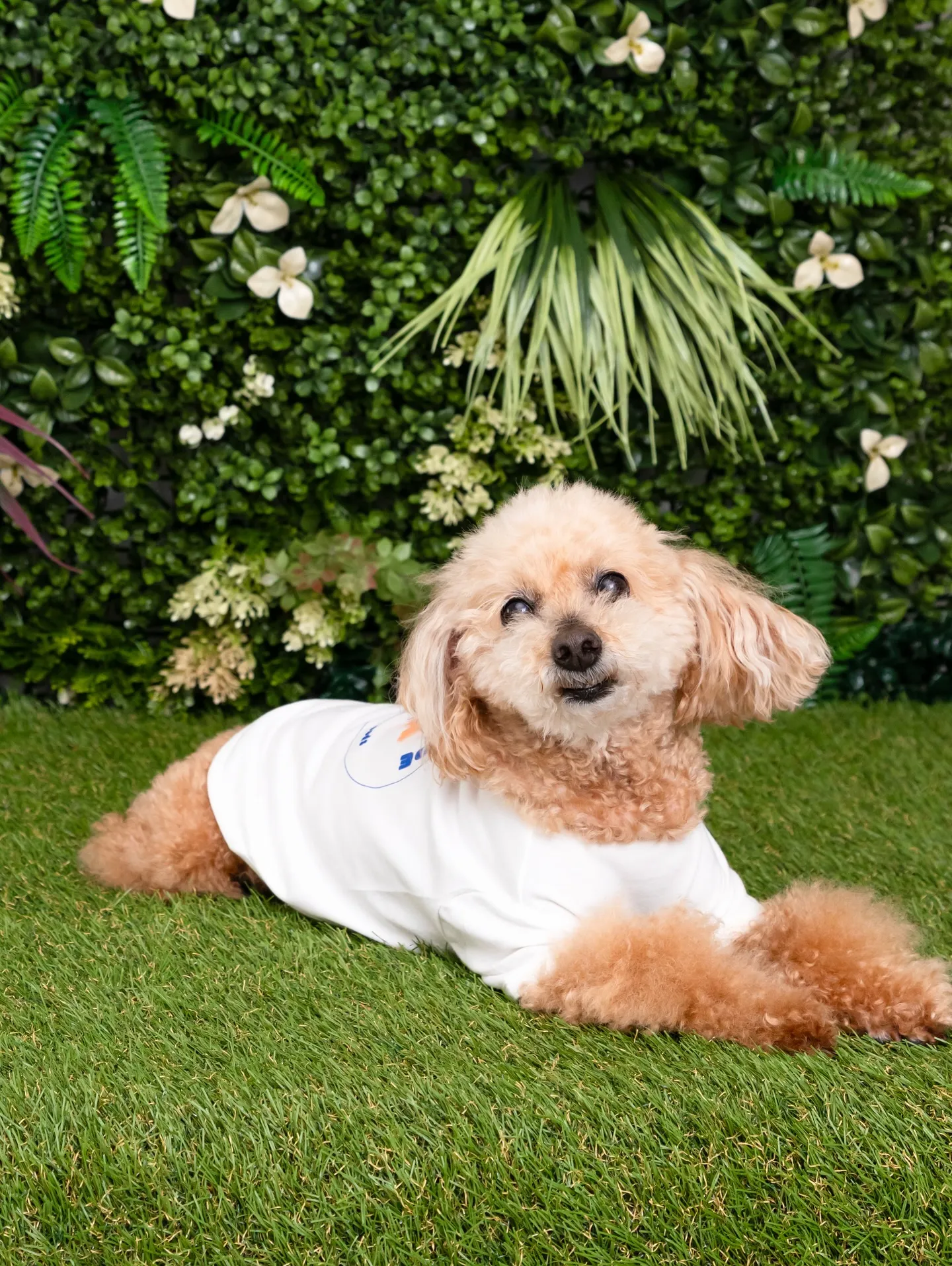 【Botanical🌿Backdrop Photoshoot...