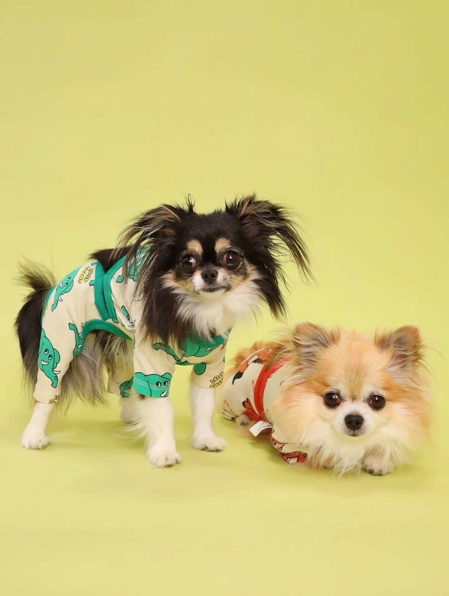 【Light-GREEN🍏Photoshoot】