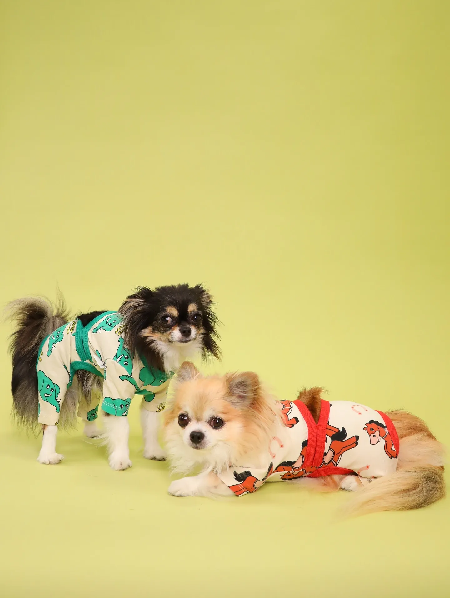 【Light-GREEN🍏Photoshoot】