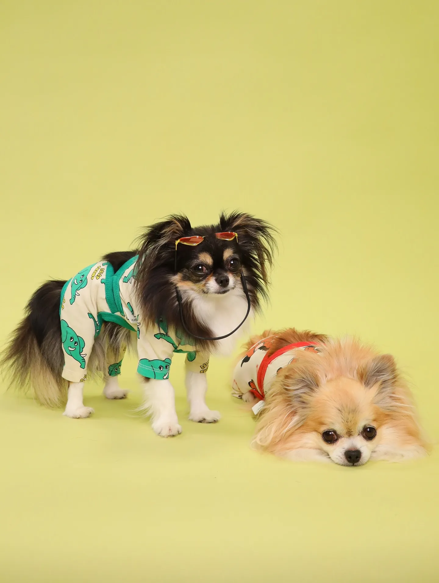 【Light-GREEN🍏Photoshoot】