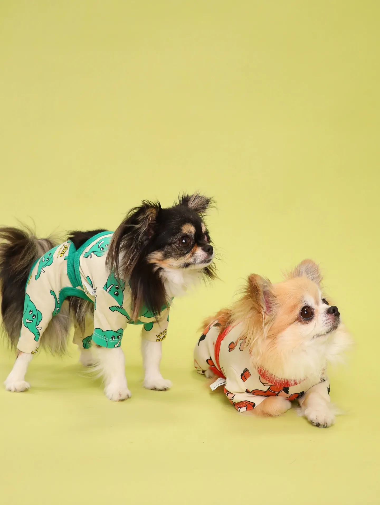 【Light-GREEN🍏Photoshoot】