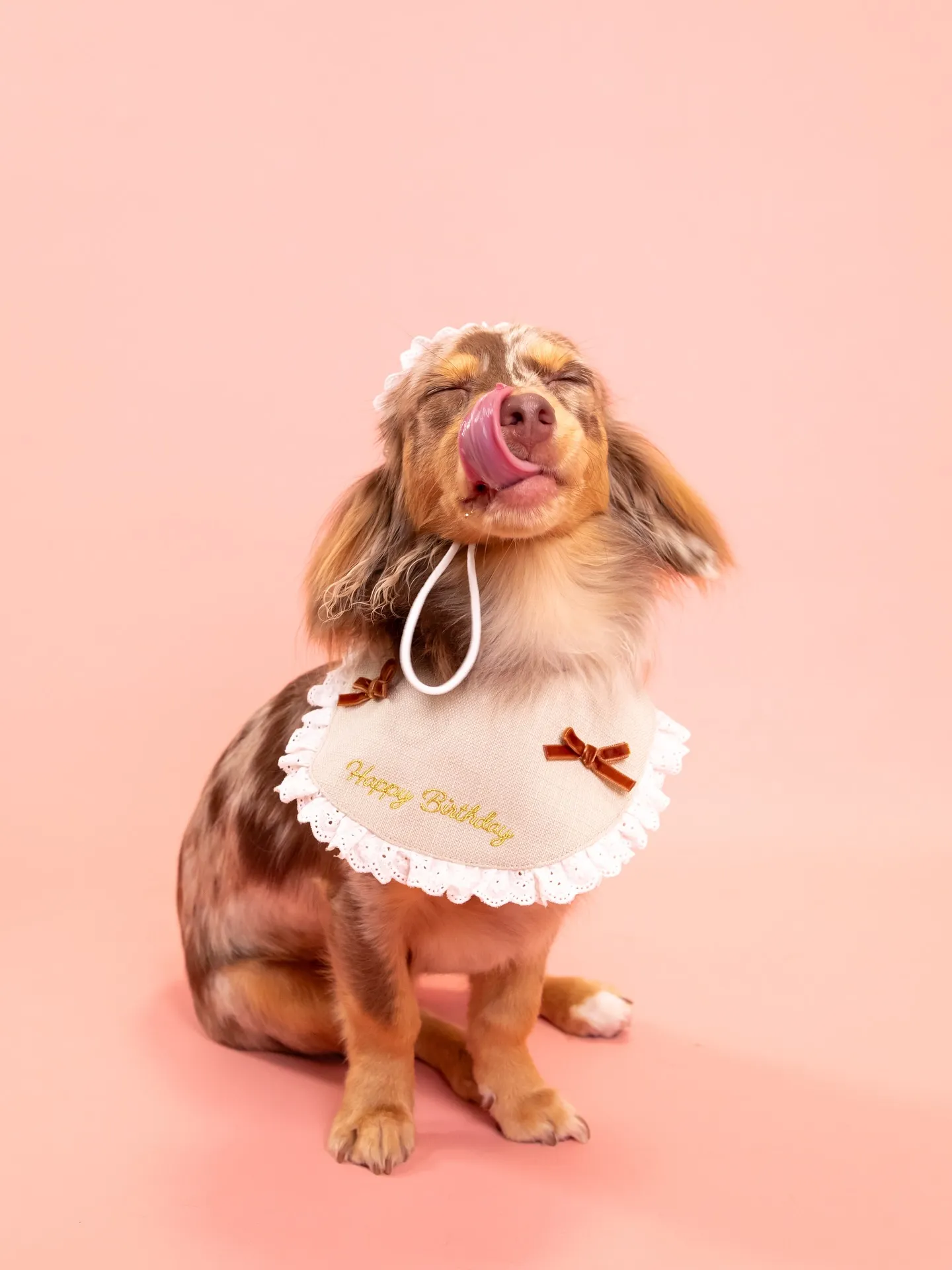 【PINK🦩Backdrop -Solo & ケーキ🎂-】