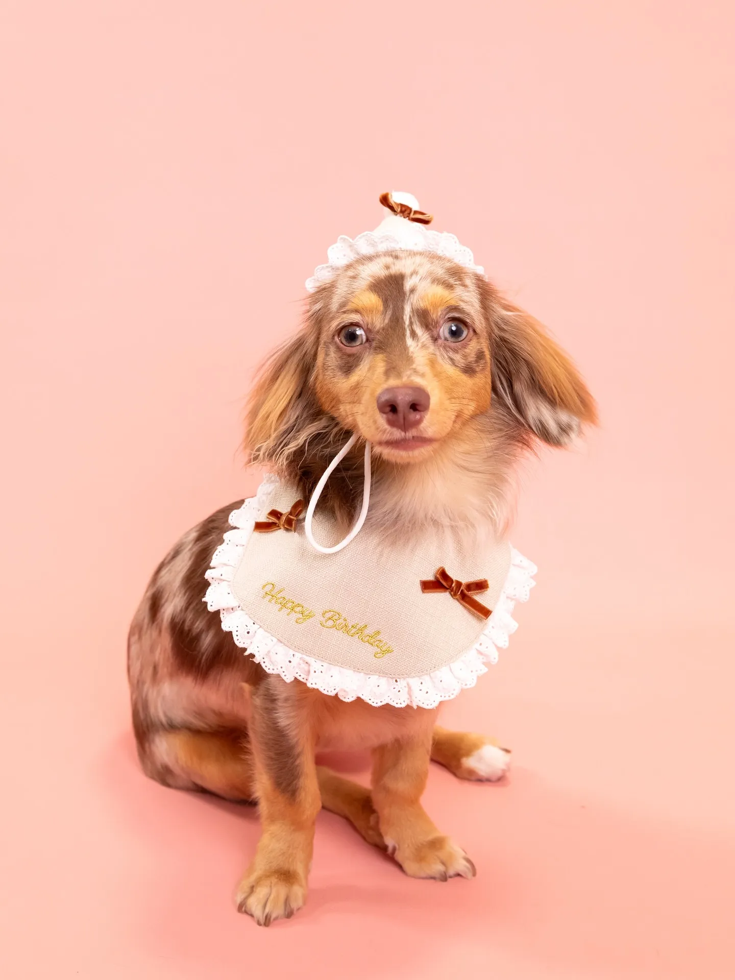 【PINK🦩Backdrop -Solo & ケーキ🎂-】