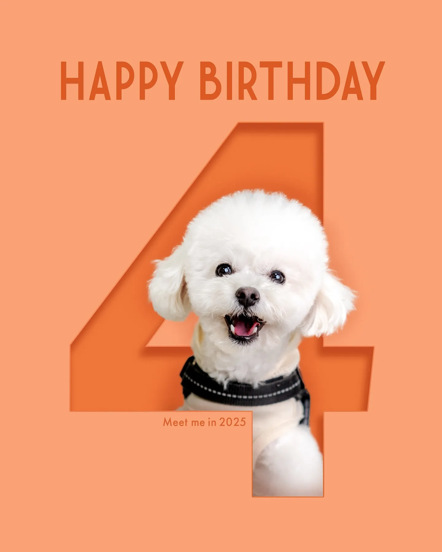 【ナンバーART／データ納品／1頭デザイン】