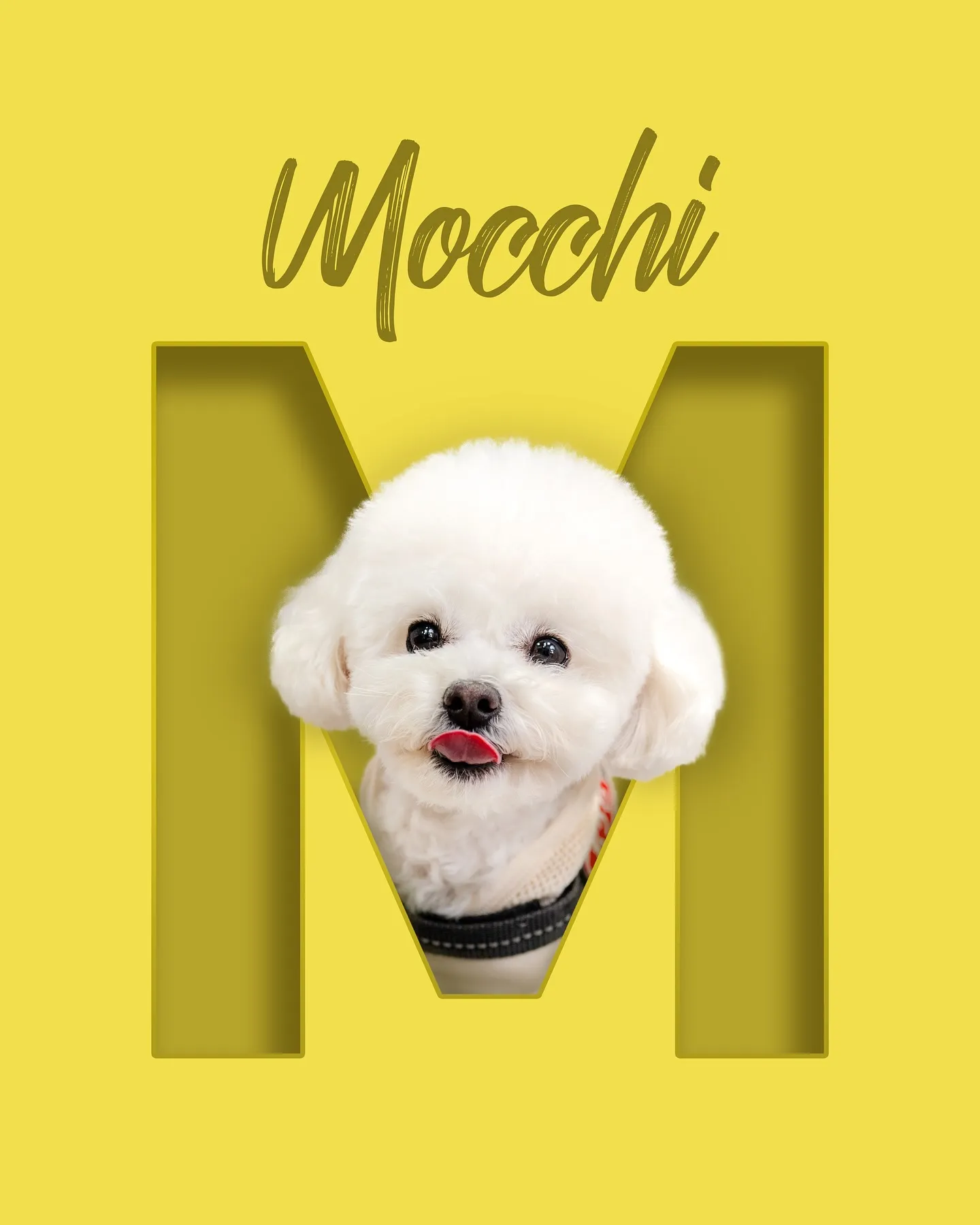 【アルファベットART／データ納品／1頭デザイン】