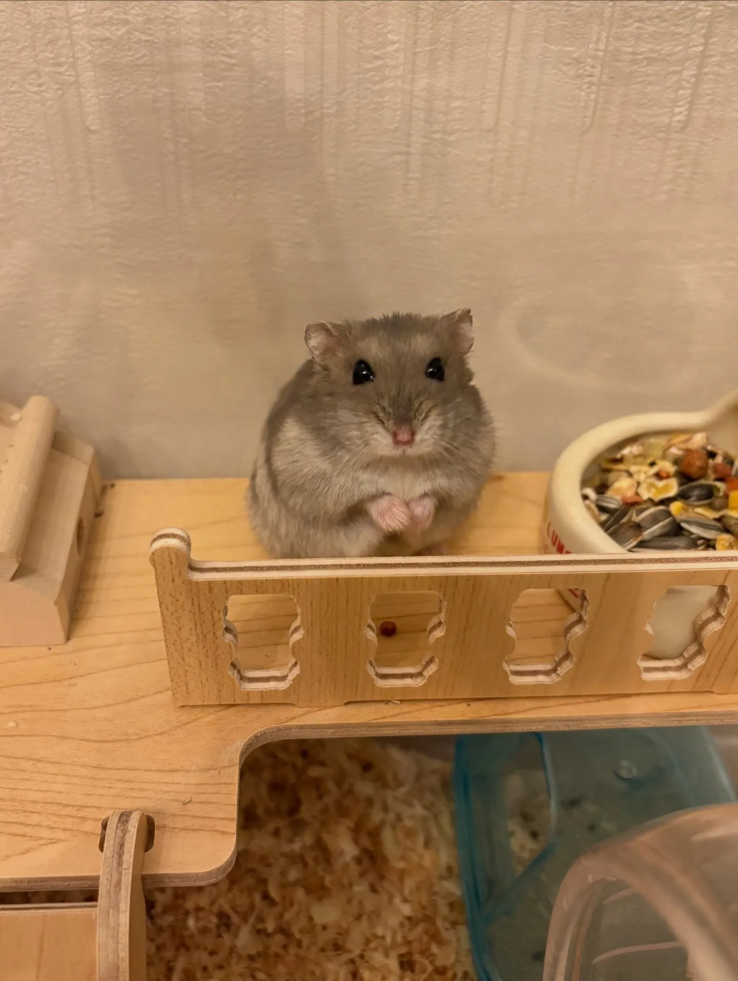 【アルファベットART/データ納品/1頭デザイン】