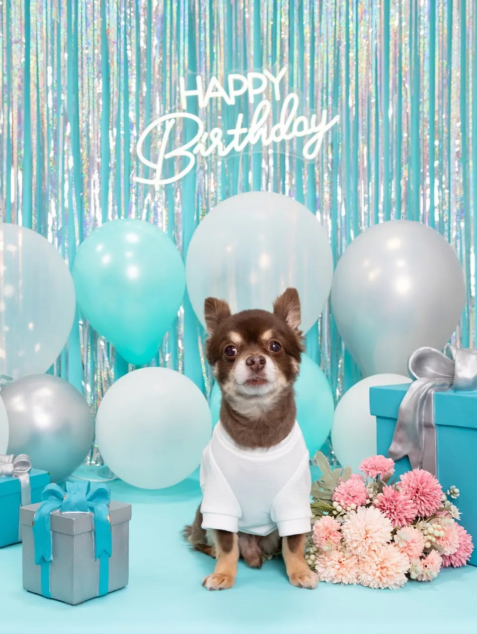 【Birthday Photobofth🗽-水色-】