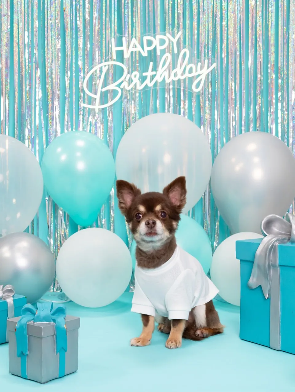 【Birthday Photobofth🗽-水色-】