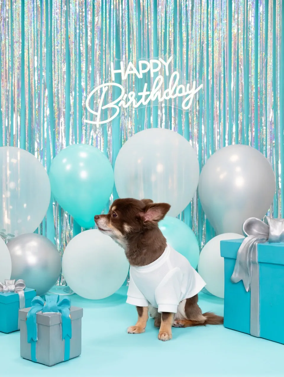 【Birthday Photobofth🗽-水色-】