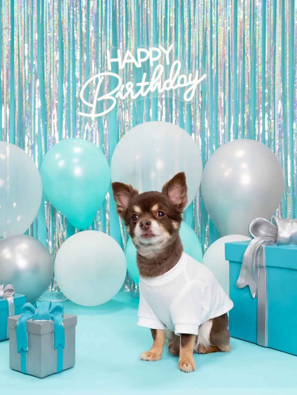 【Birthday Photobofth🗽-水色-】