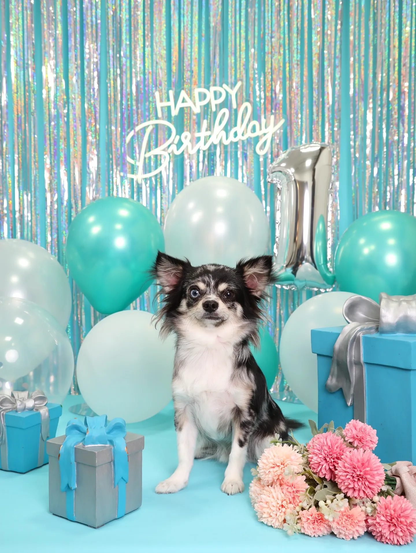 【Birthday Photobofth🗽-水色-】