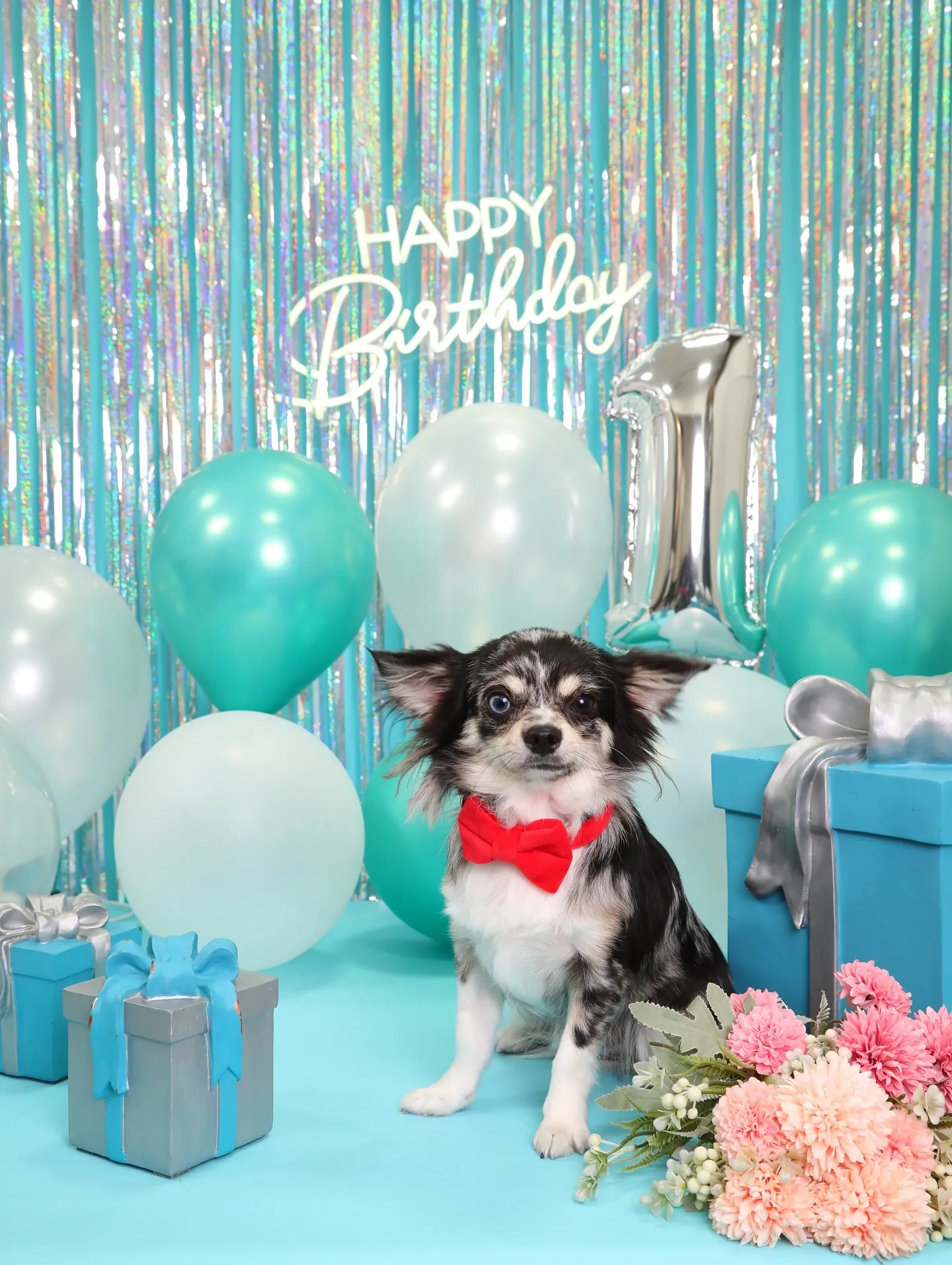 【Birthday Photobofth🗽-水色-】