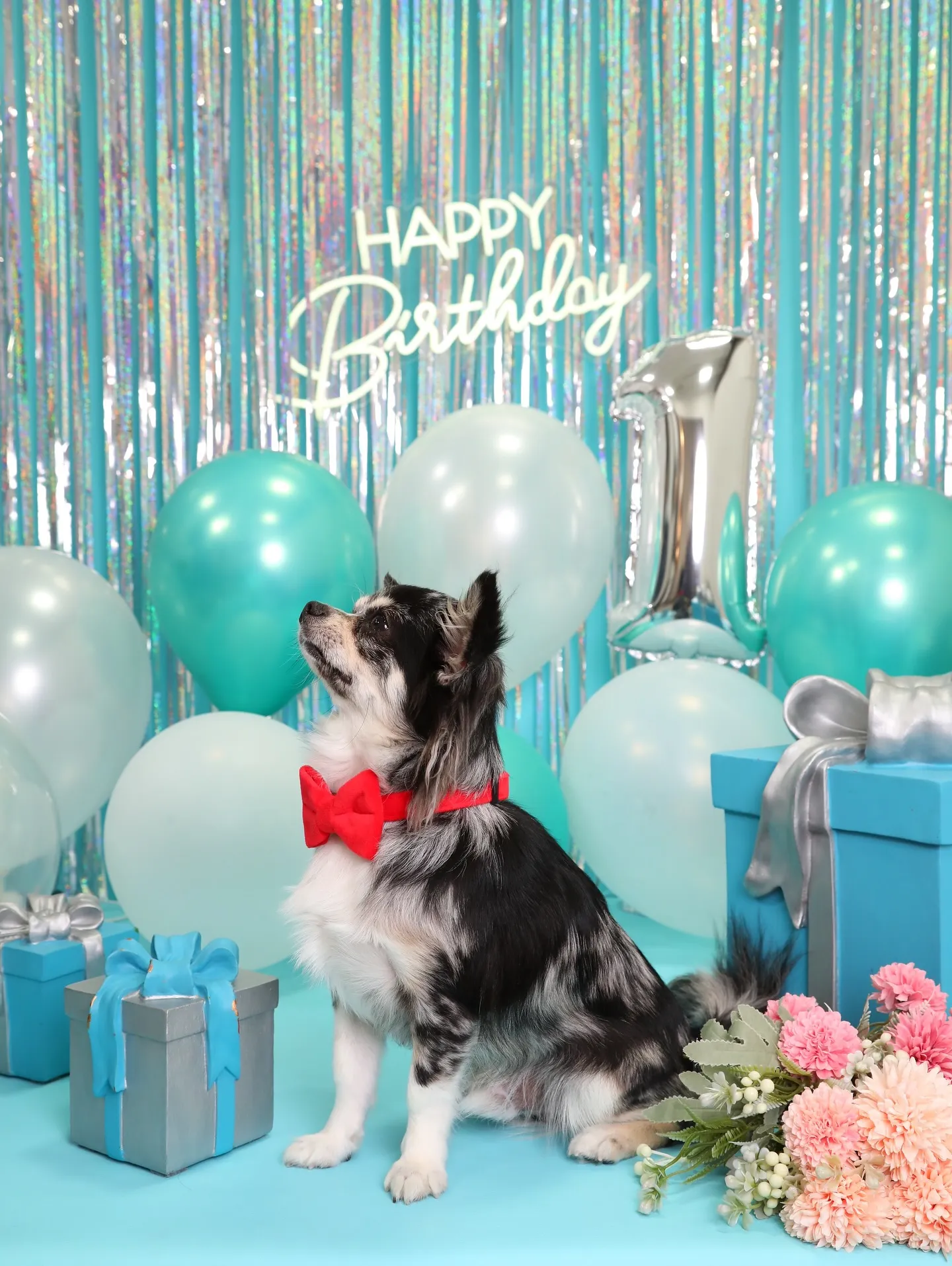 【Birthday Photobofth🗽-水色-】