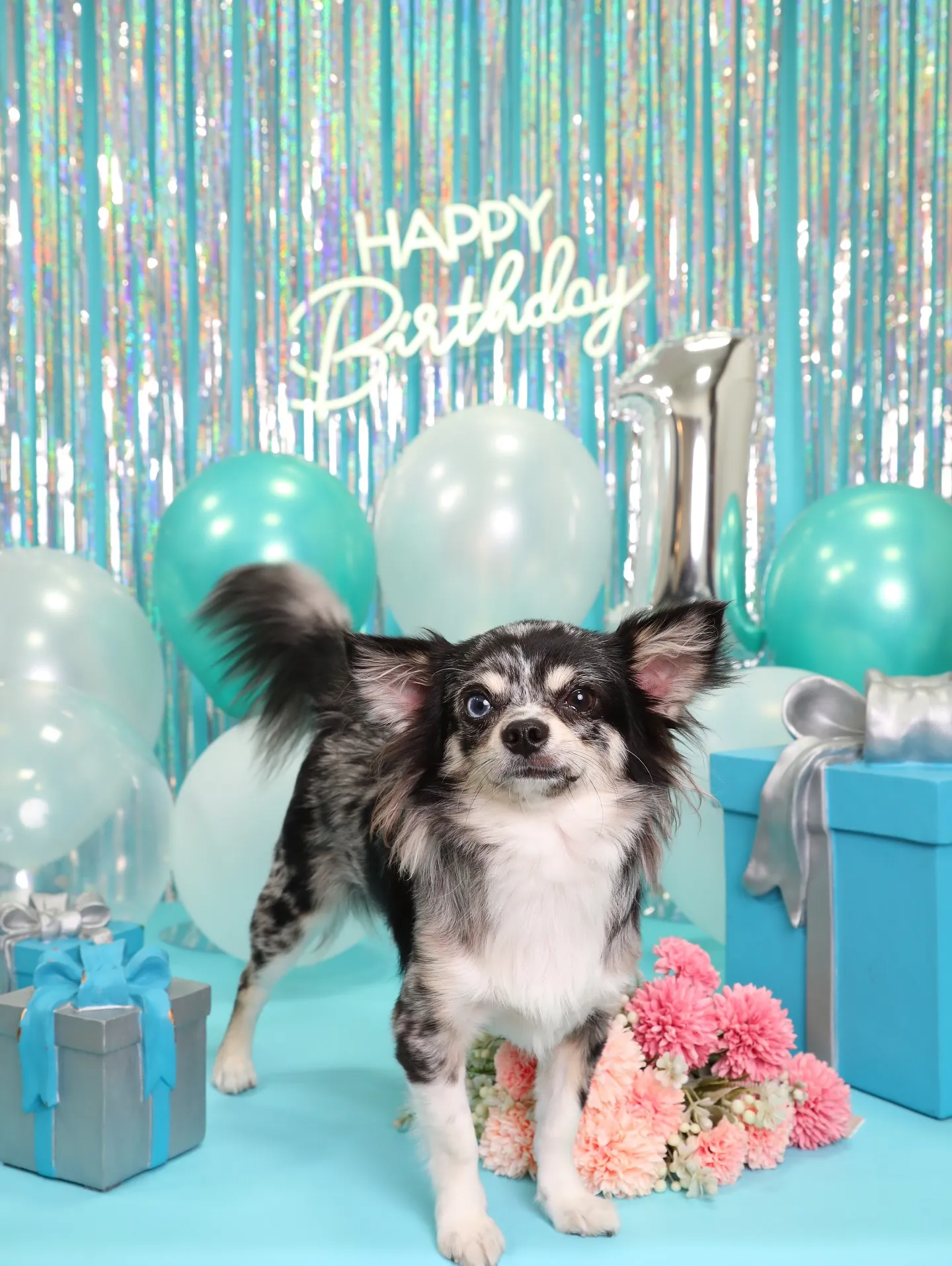 【Birthday Photobofth🗽-水色-】