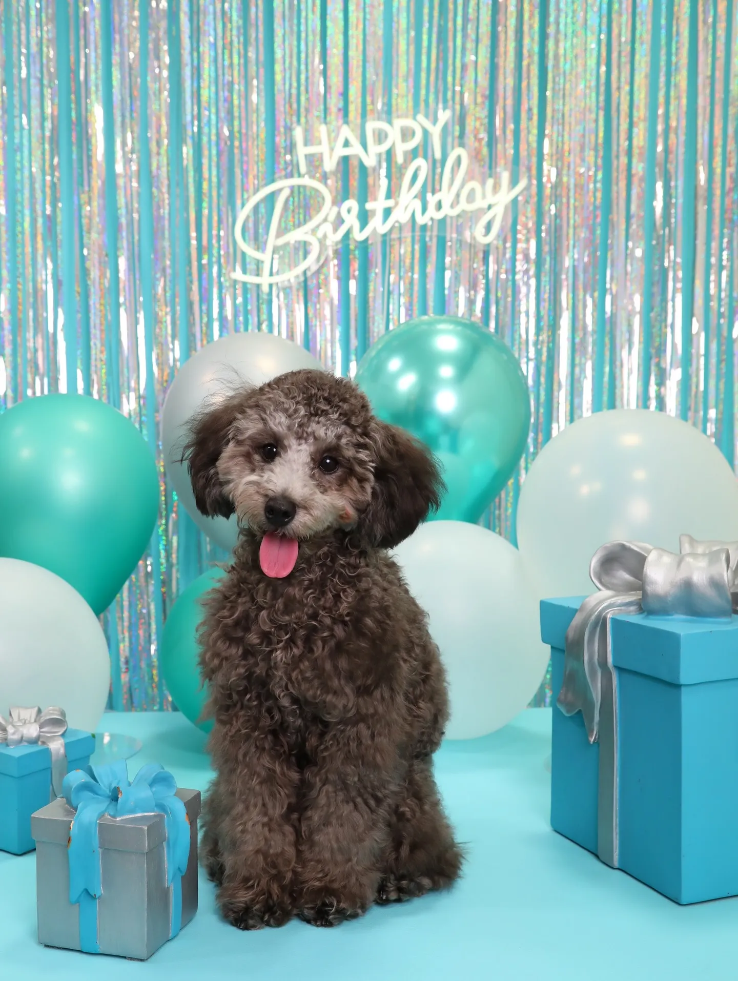 【Birthday Photobofth🗽-水色-】