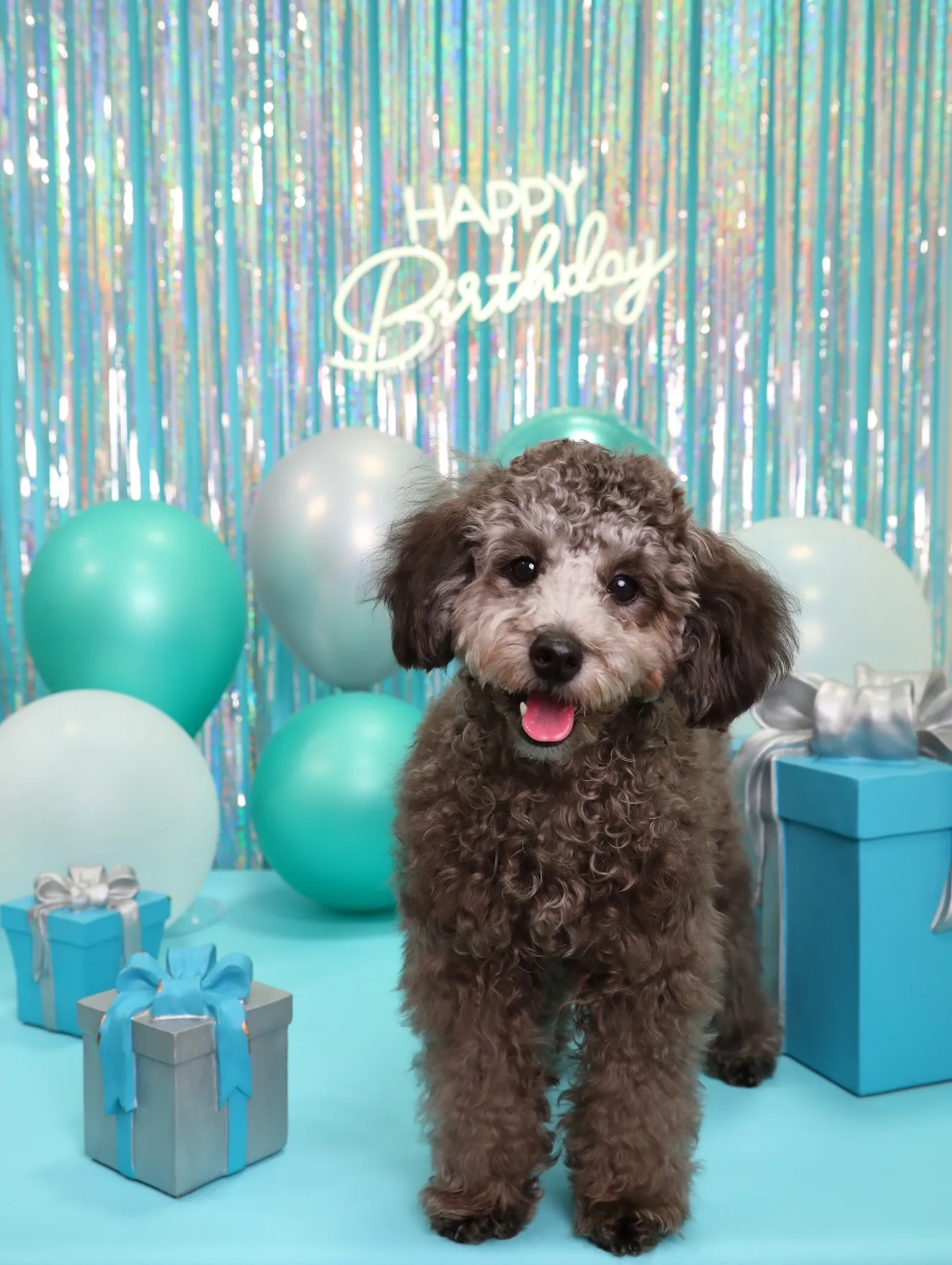 【Birthday Photobofth🗽-水色-】