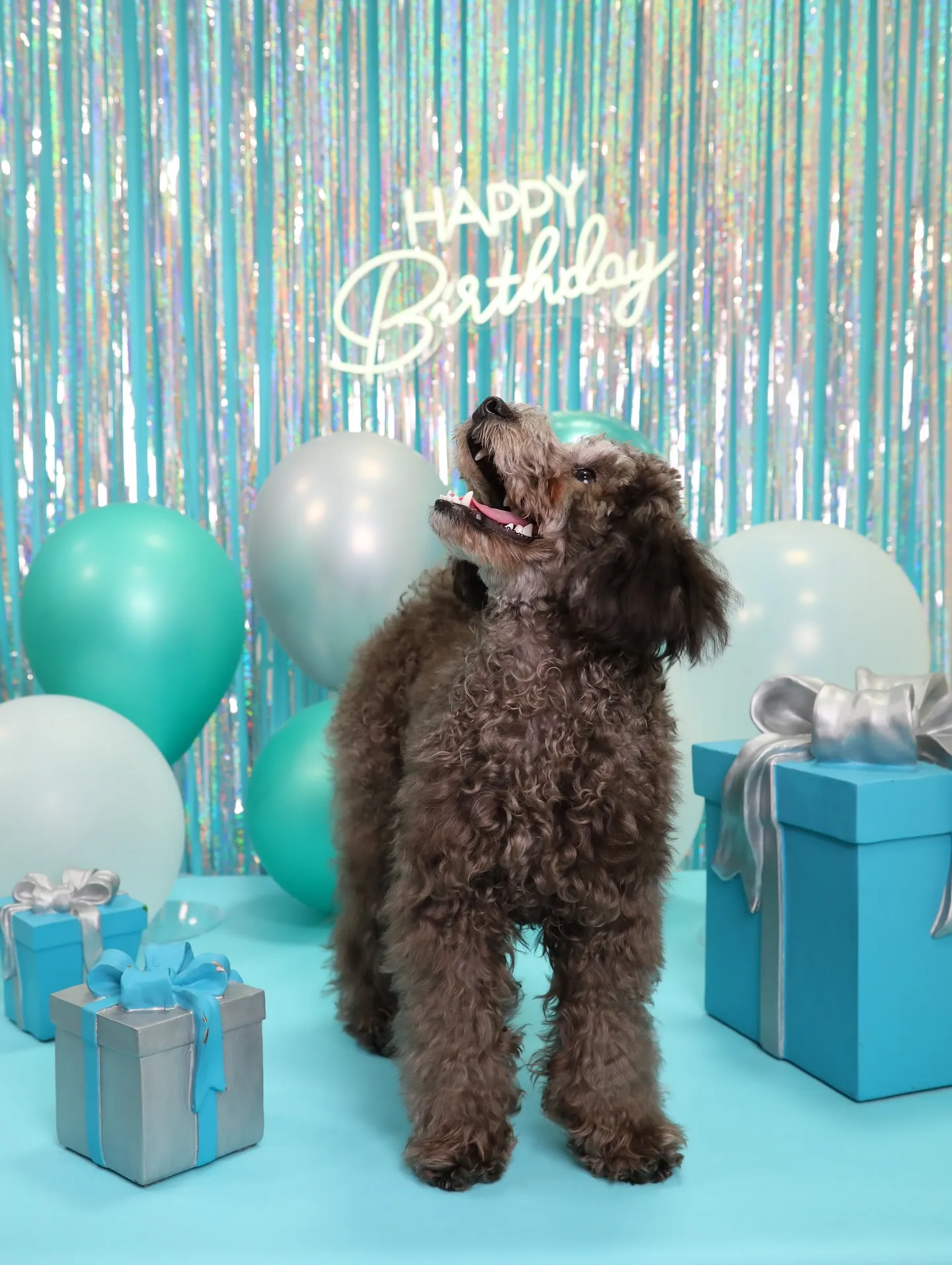 【Birthday Photobofth🗽-水色-】