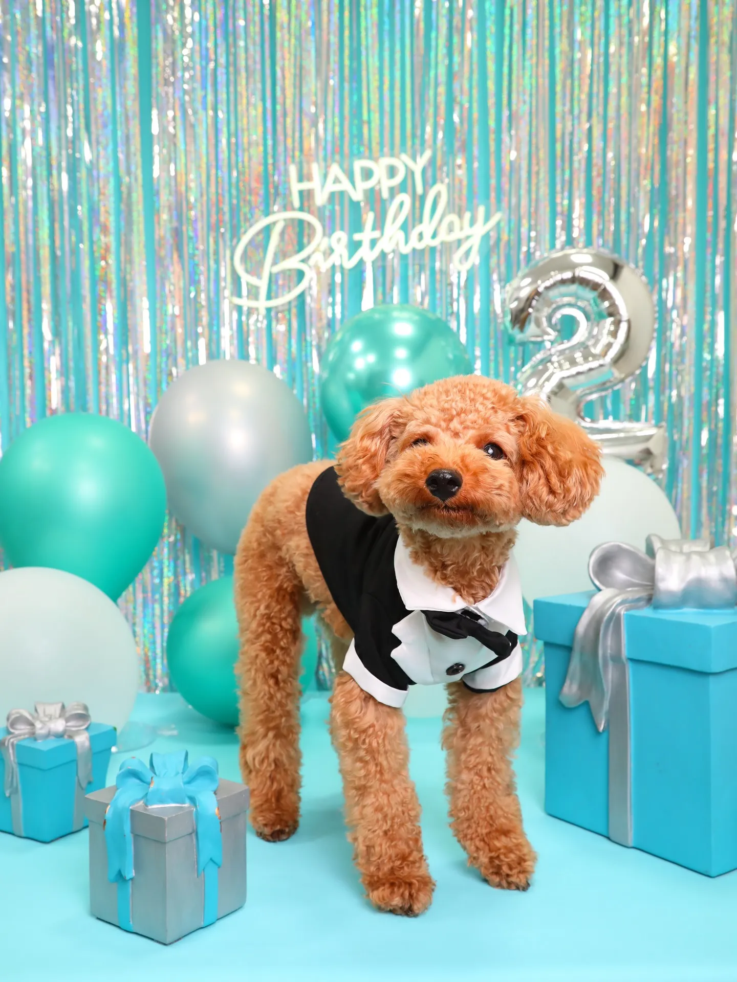 【Birthday Photobofth🗽-水色-】