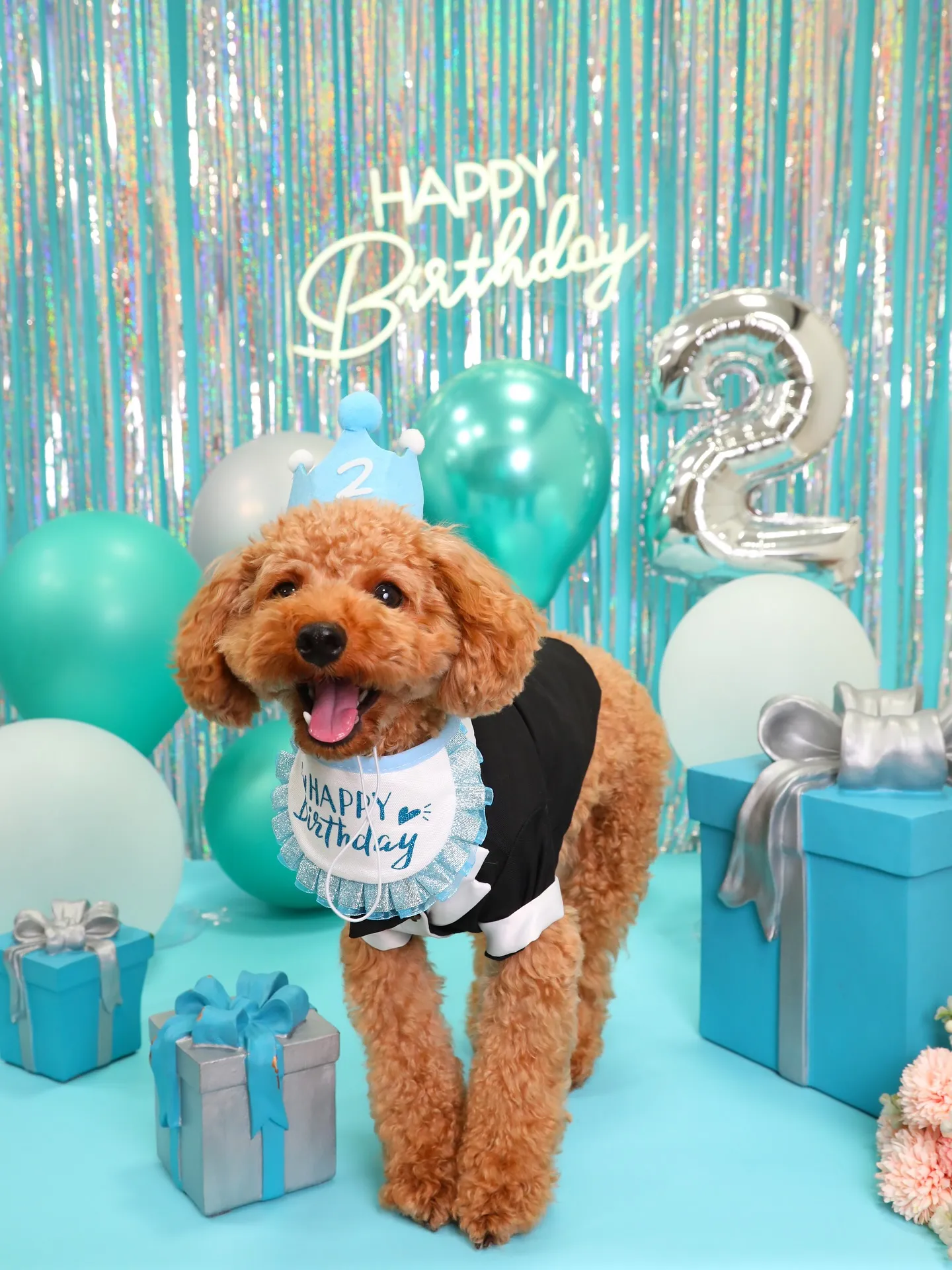 【Birthday Photobofth🗽-水色-】