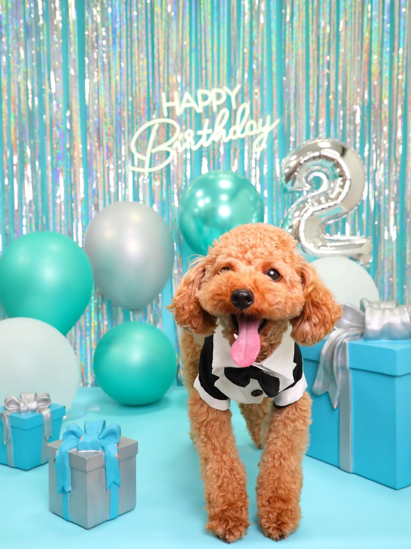 【Birthday Photobofth🗽-水色-】