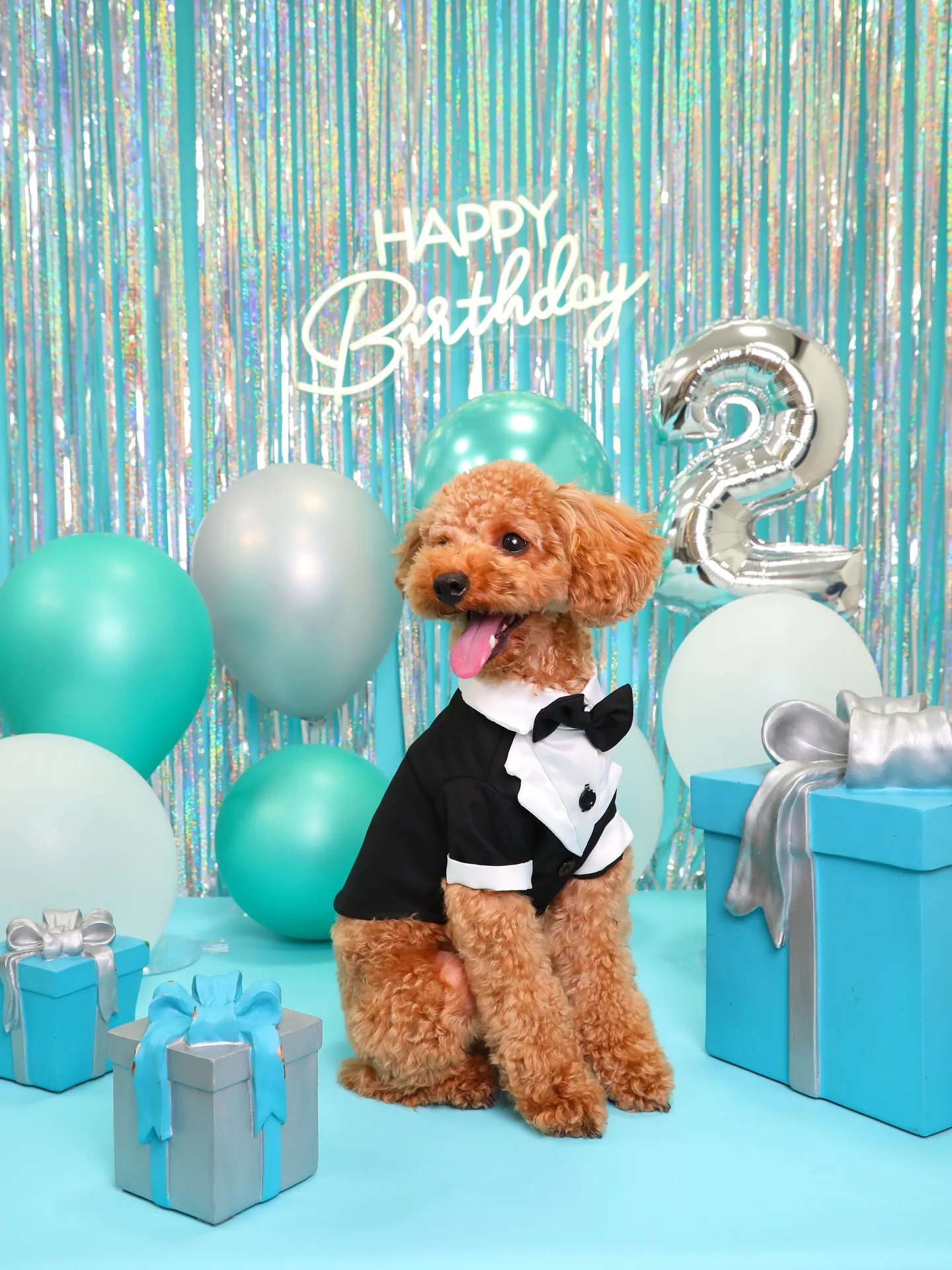 【Birthday Photobofth🗽-水色-】