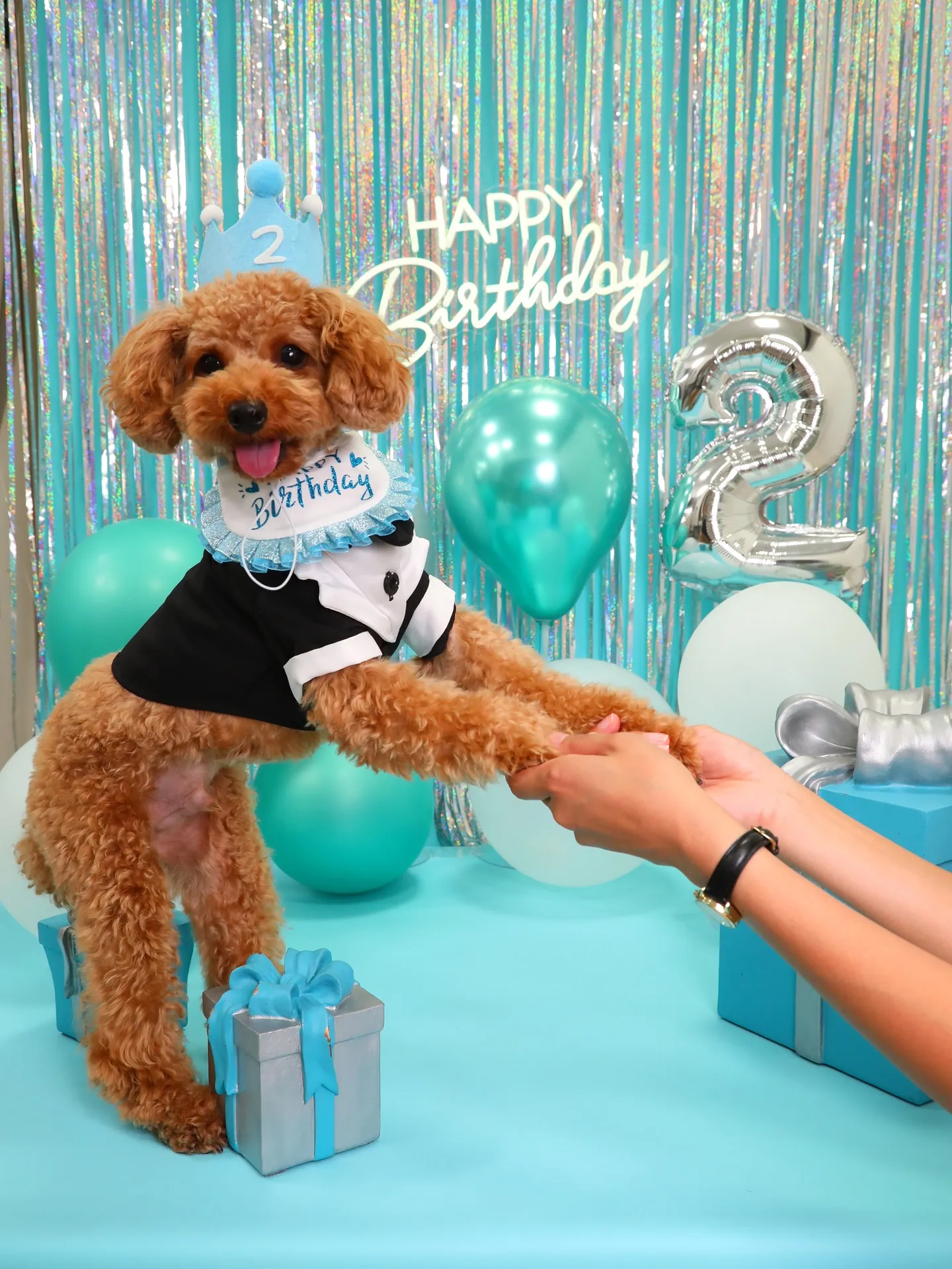 【Birthday Photobofth🗽-水色-】