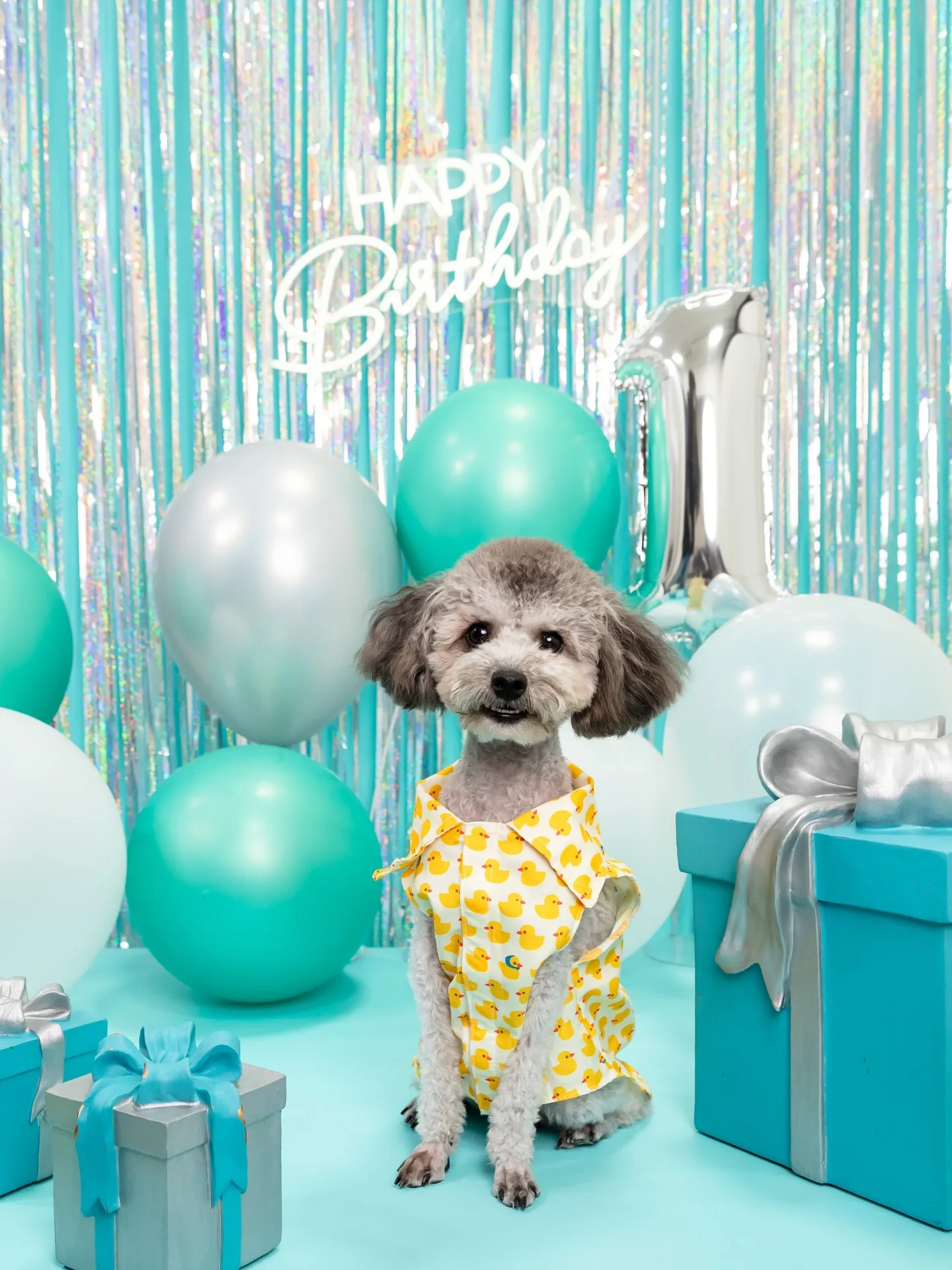 【Birthday Photobofth🗽-水色-】