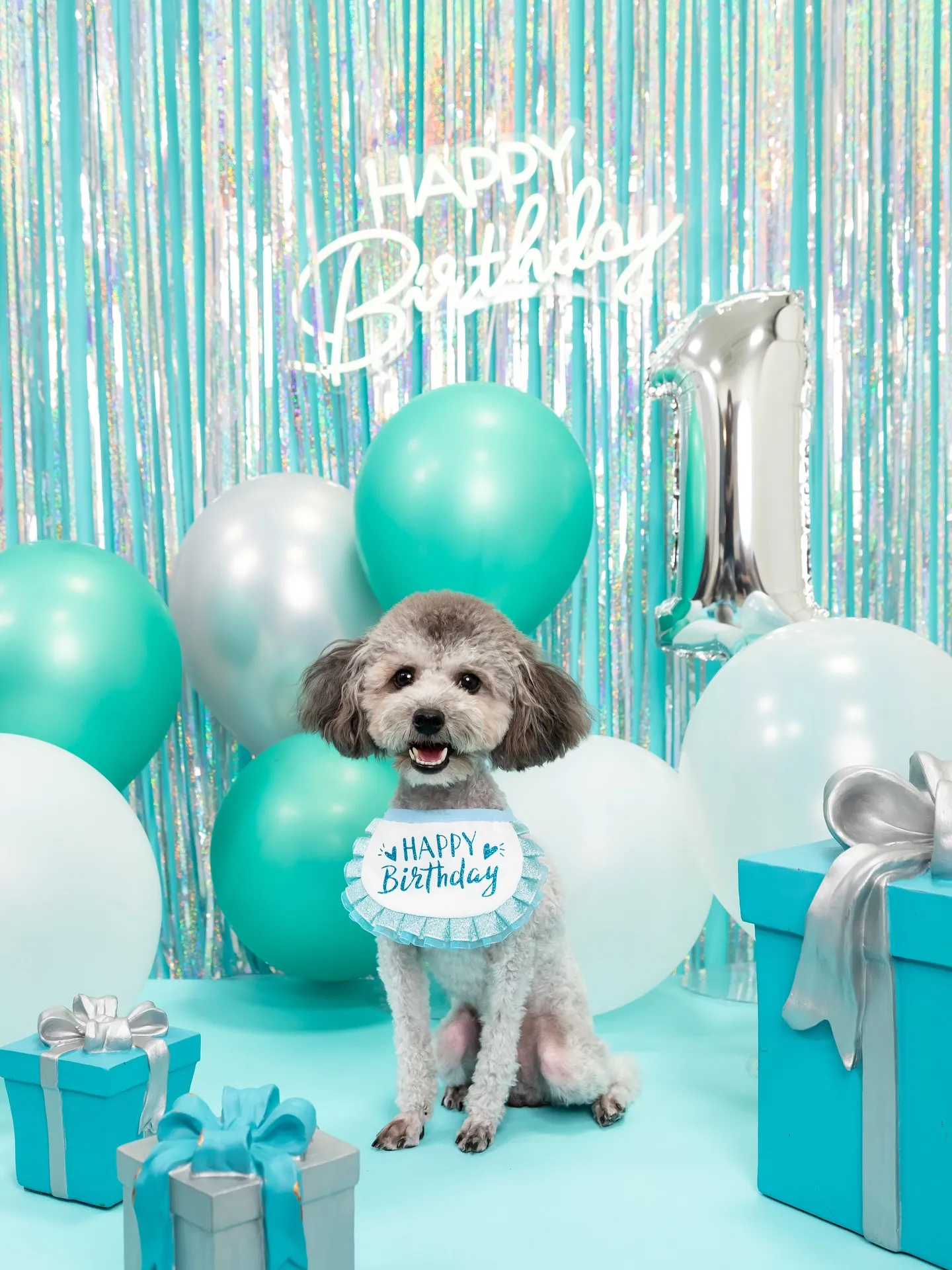 【Birthday Photobofth🗽-水色-】