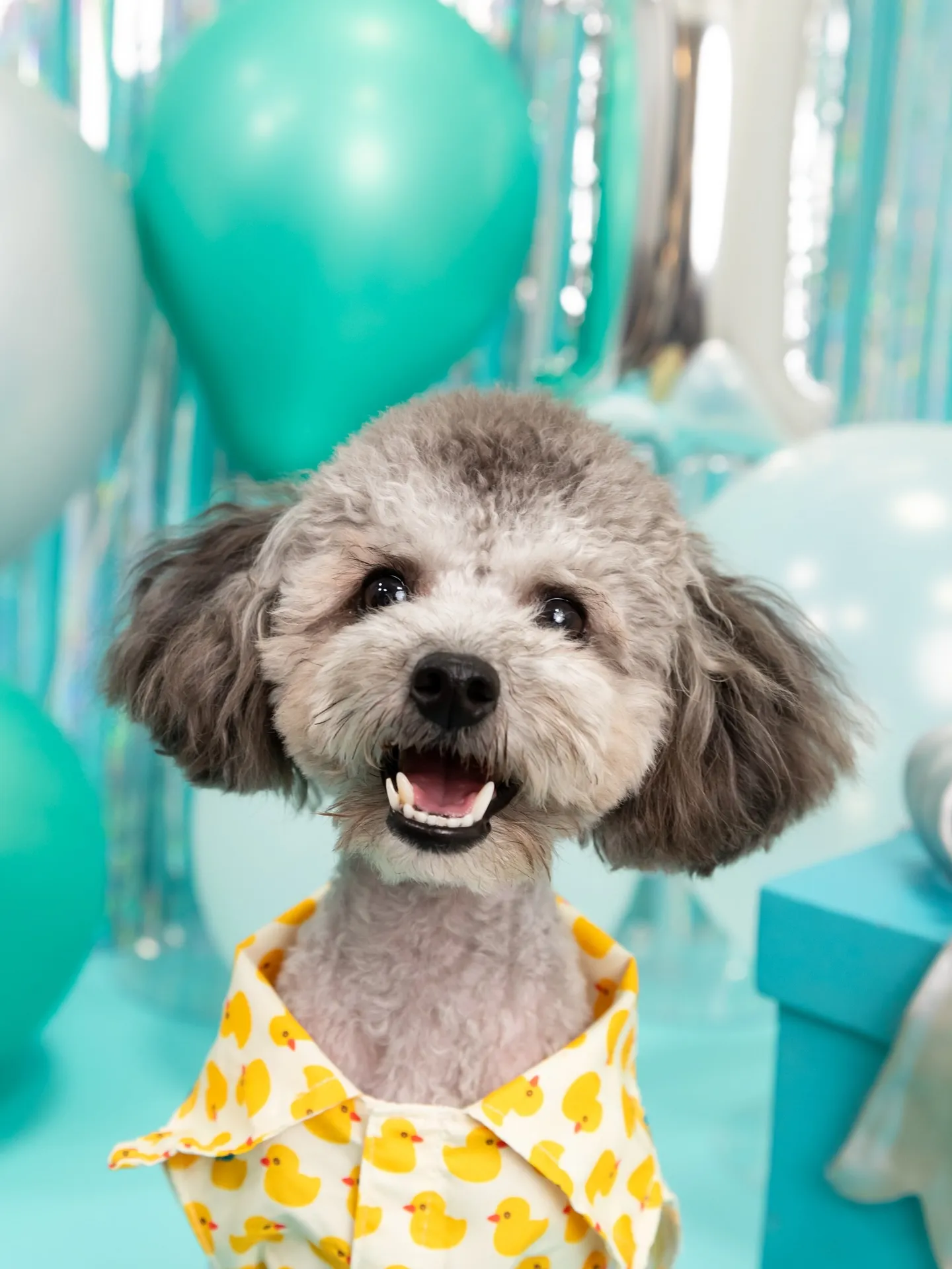 【Birthday Photobofth🗽-水色-】