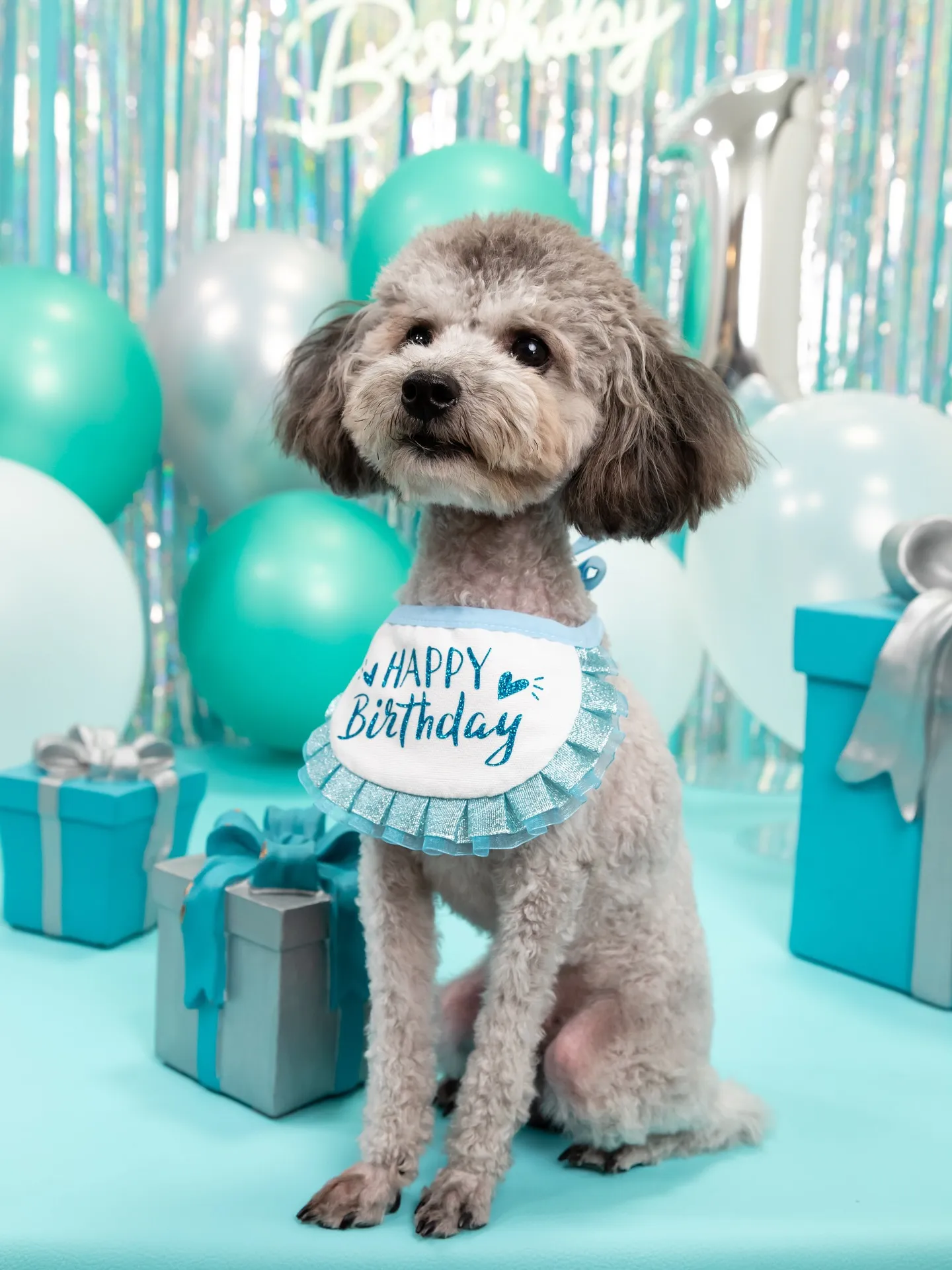 【Birthday Photobofth🗽-水色-】