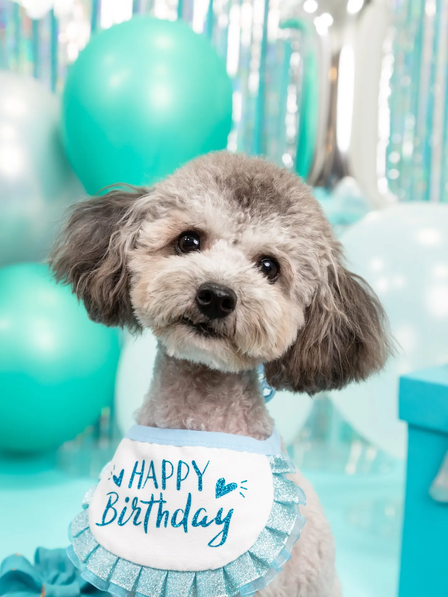 【Birthday Photobofth🗽-水色-】