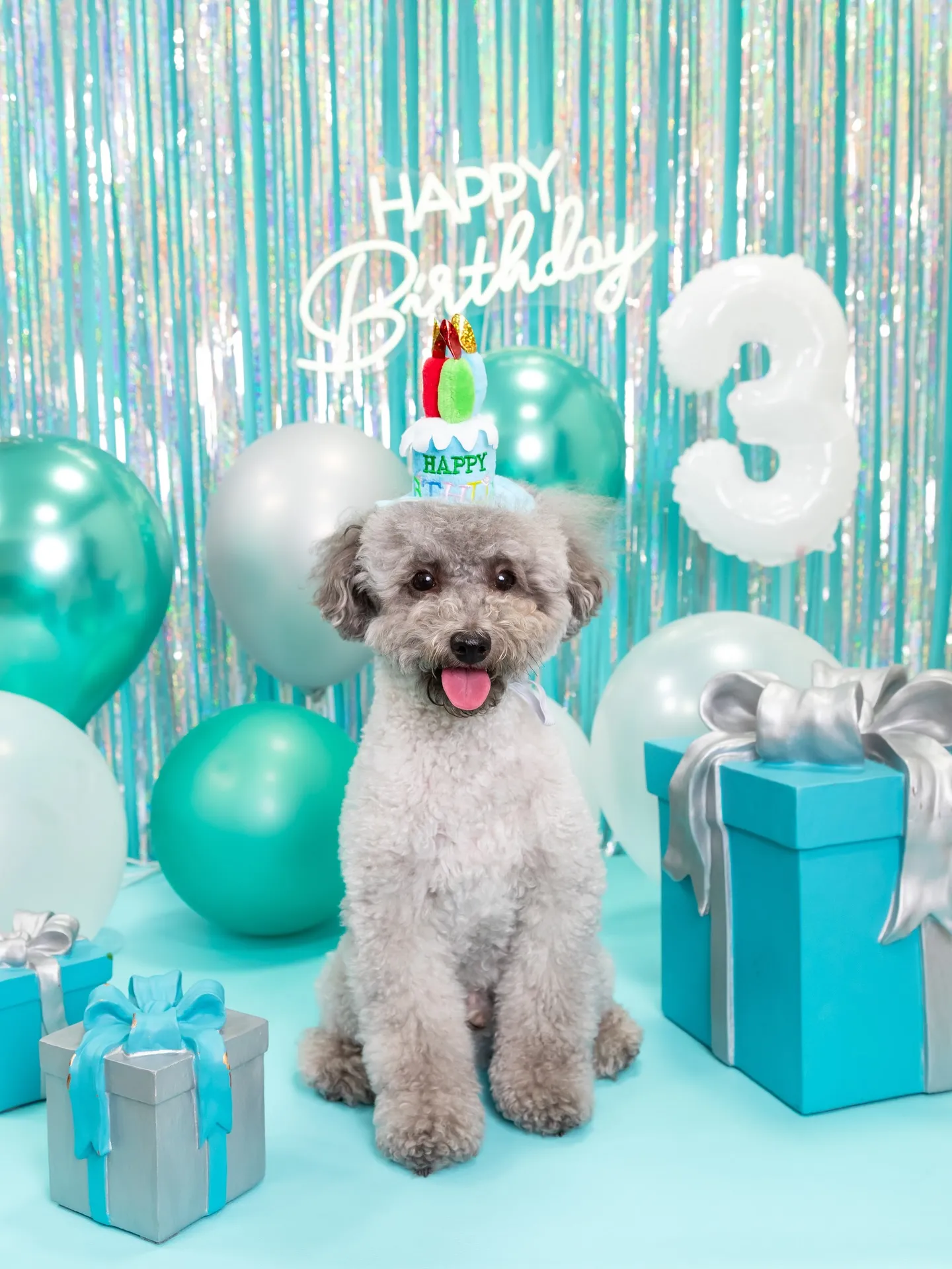 【Birthday Photobofth🗽-水色-】