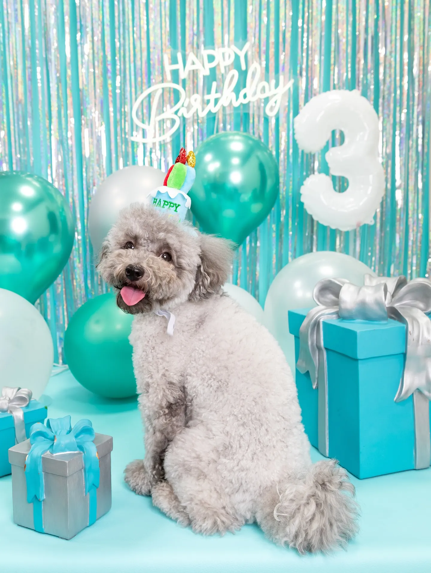 【Birthday Photobofth🗽-水色-】