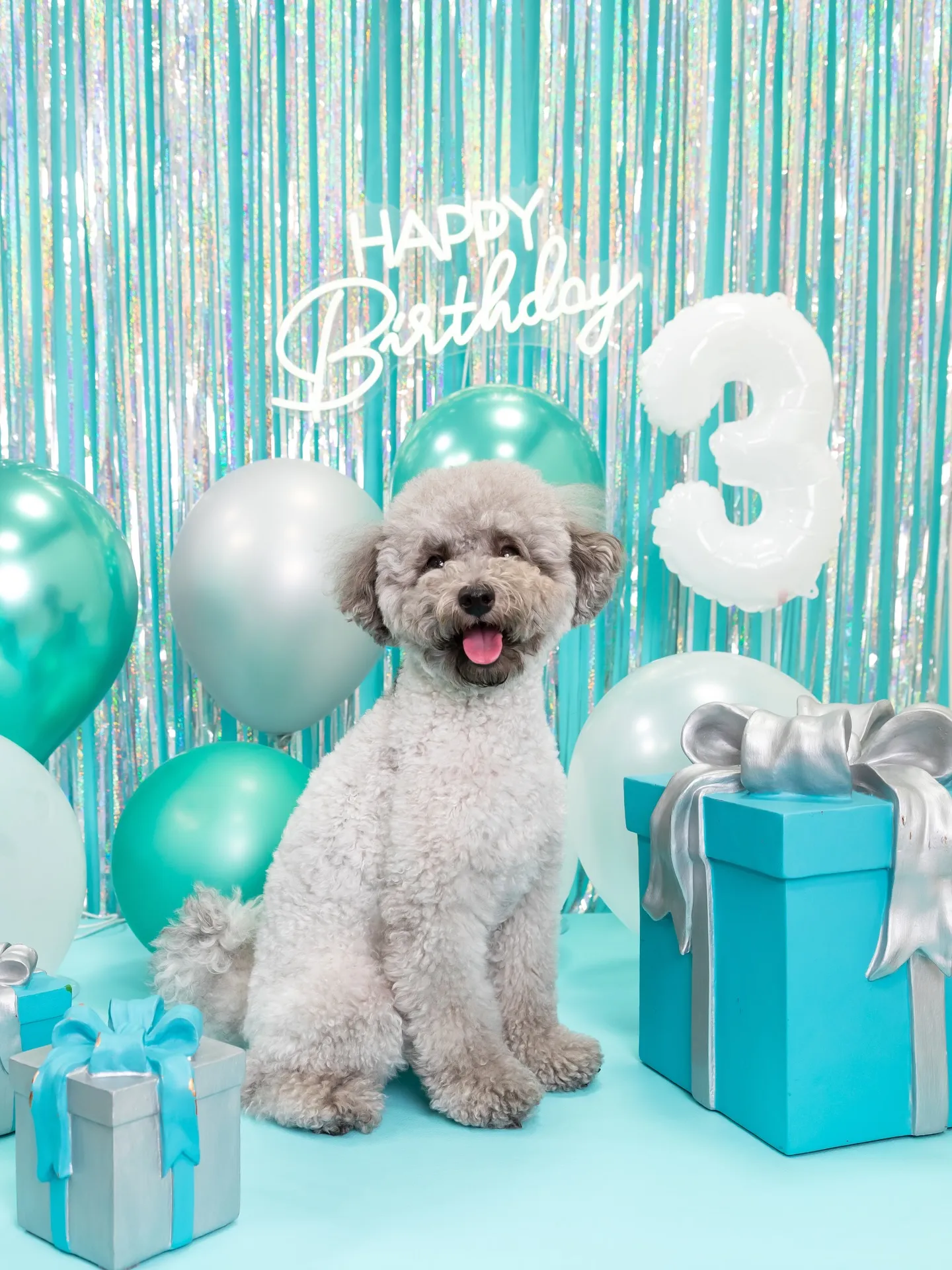 【Birthday Photobofth🗽-水色-】