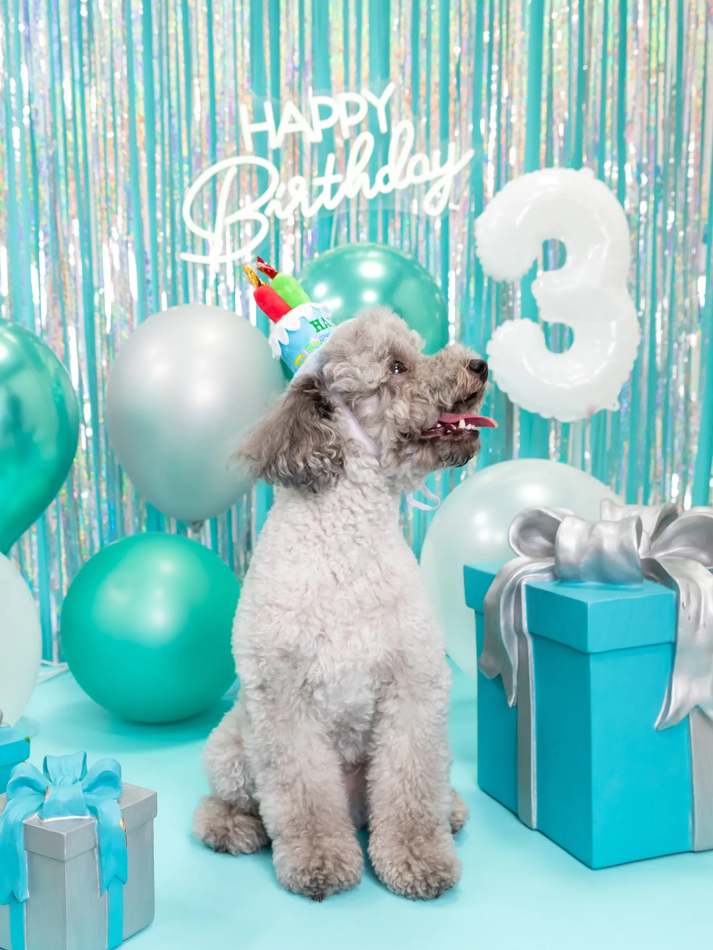 【Birthday Photobofth🗽-水色-】