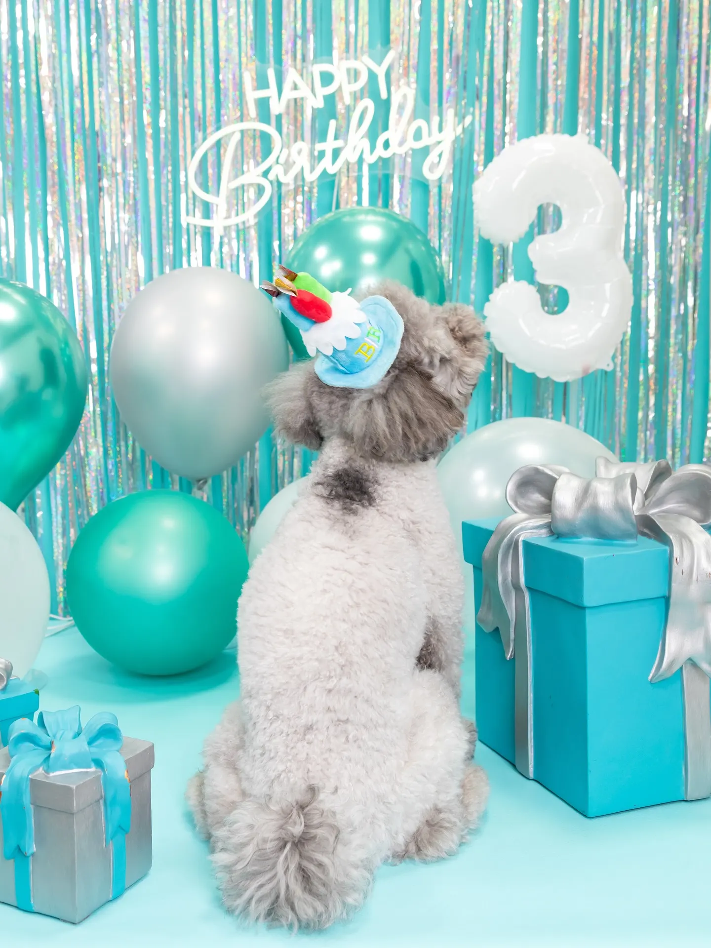 【Birthday Photobofth🗽-水色-】