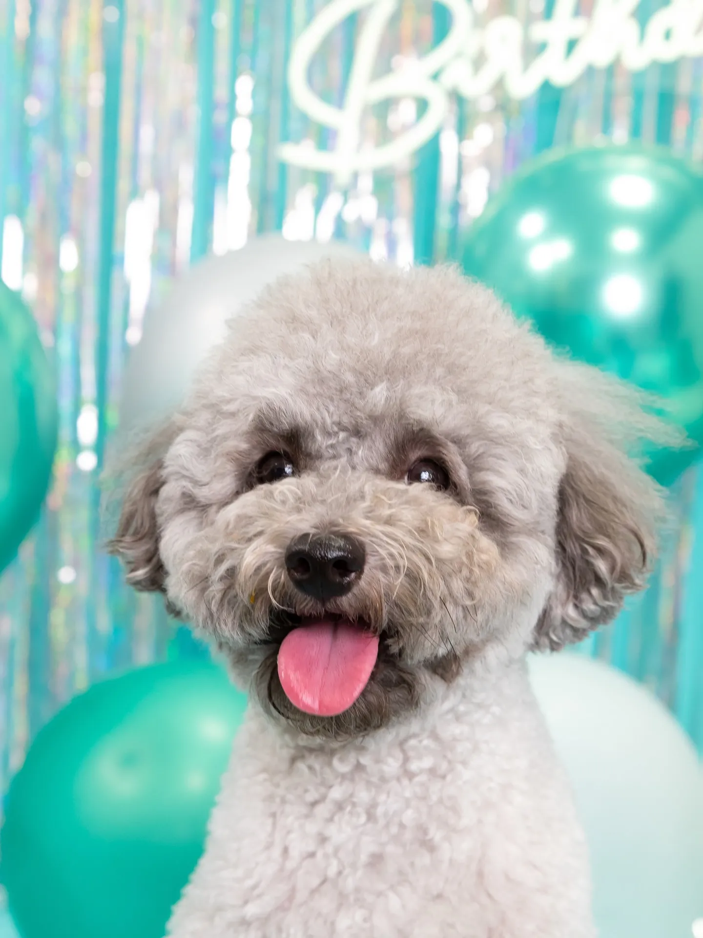 【Birthday Photobofth🗽-水色-】