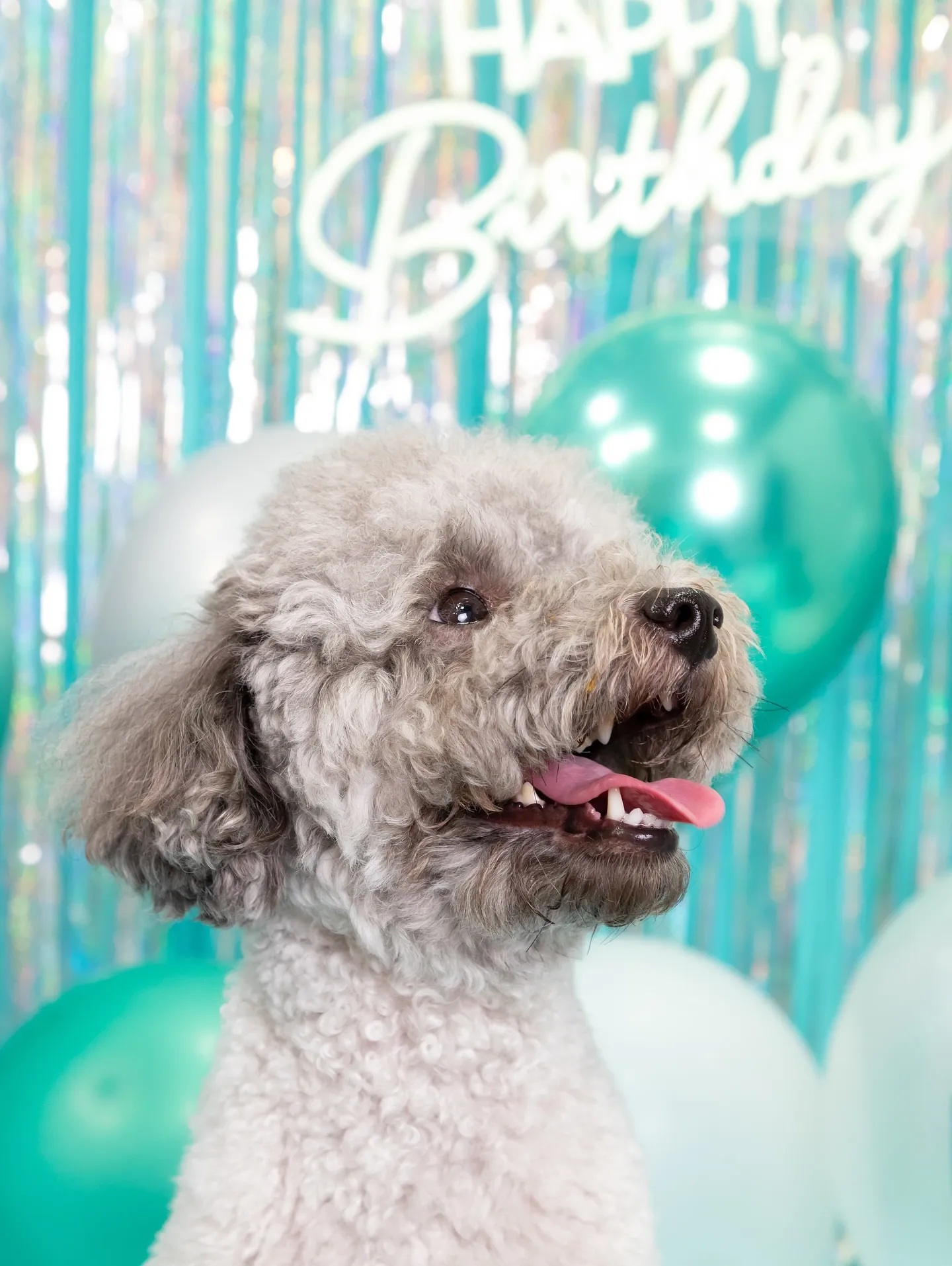 【Birthday Photobofth🗽-水色-】