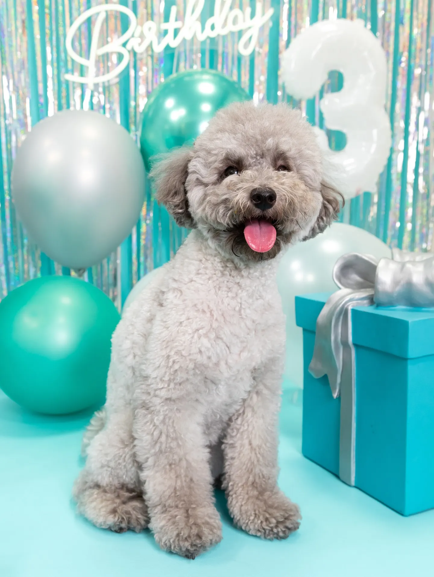 【Birthday Photobofth🗽-水色-】