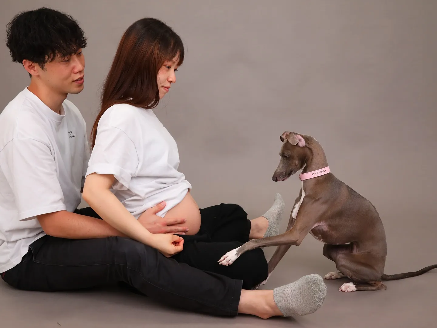 【GRAY Backdrop Photoshoot -マタニ...