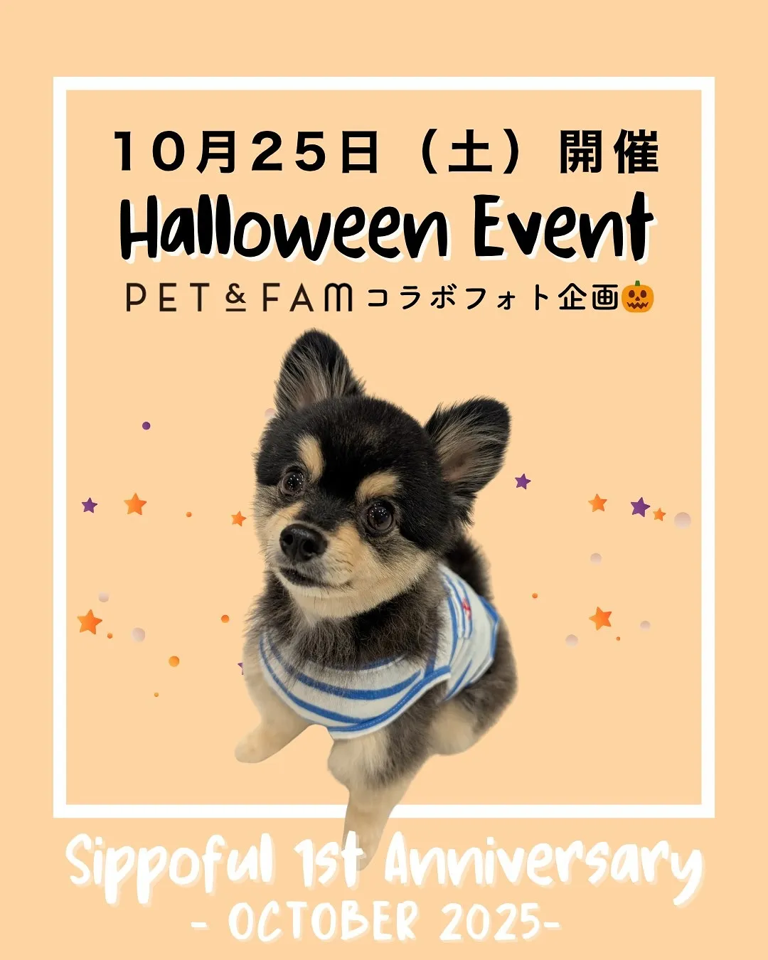 🌟2025年10月25日（土）開催！🌟