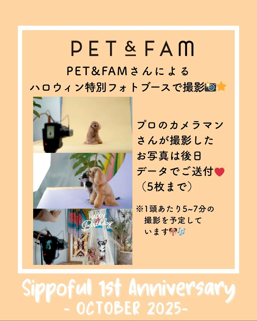 🌟2025年10月25日(土)開催!🌟