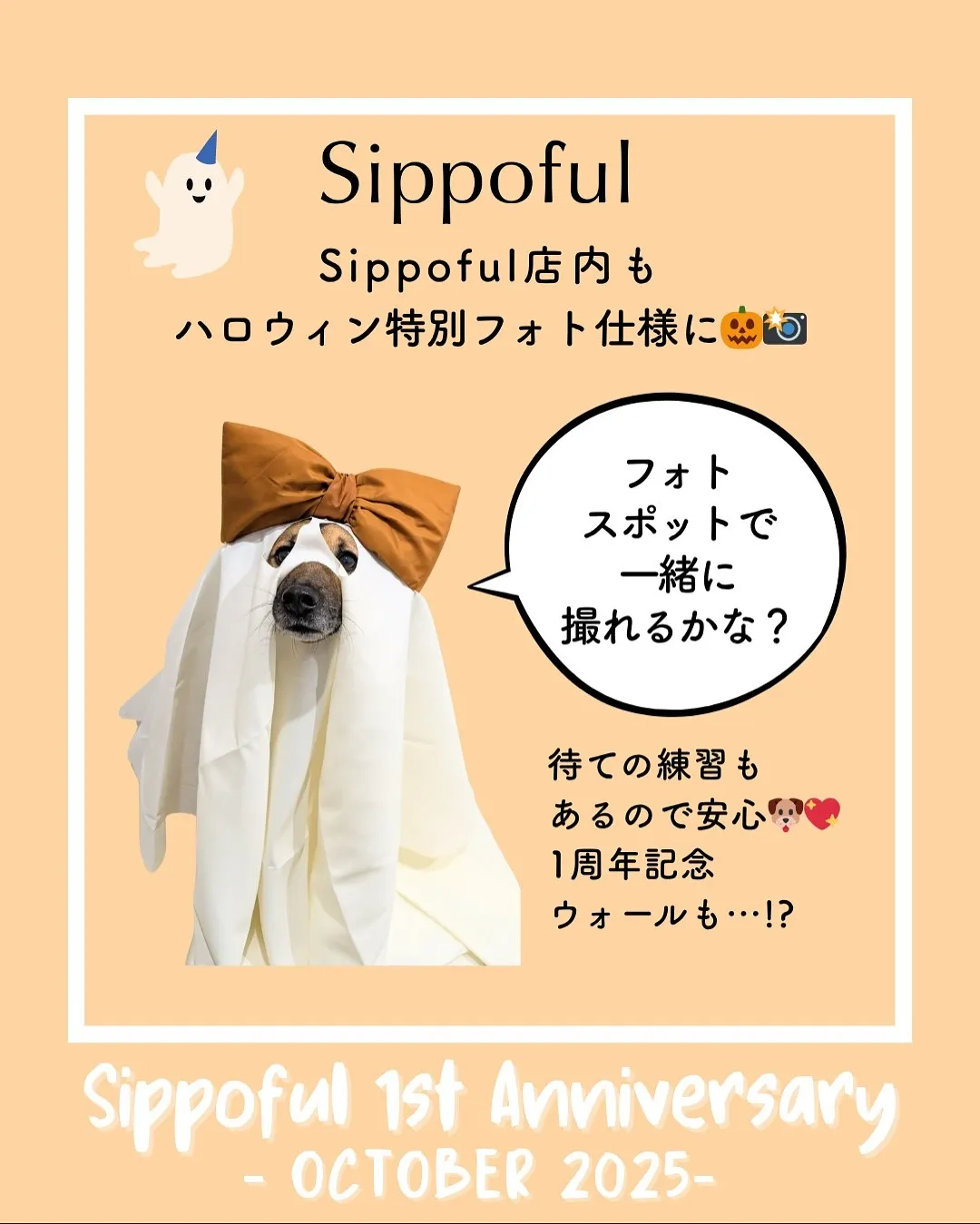 🌟2025年10月25日(土)開催!🌟