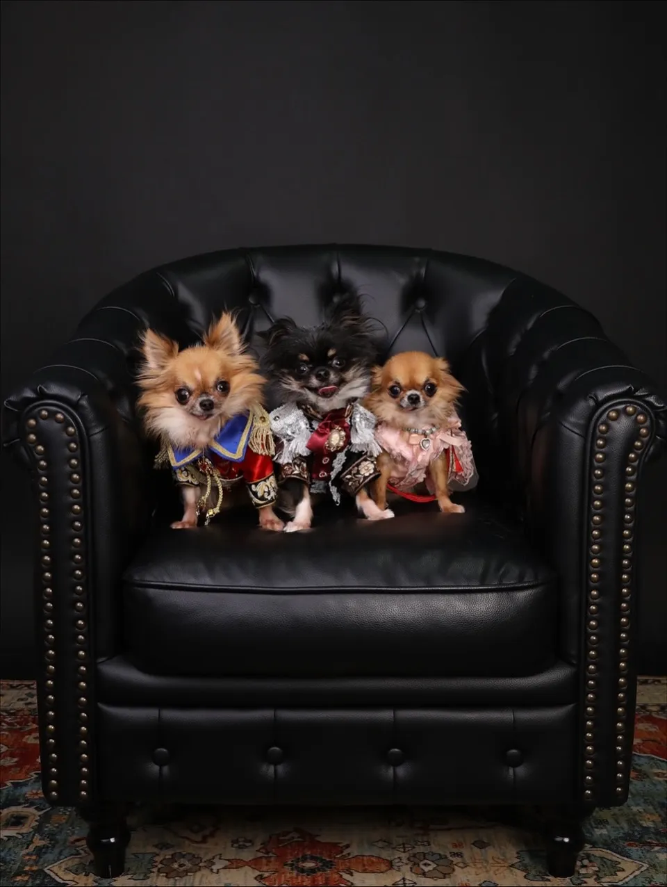 【BLACK Backdrop SELF photo -BL...